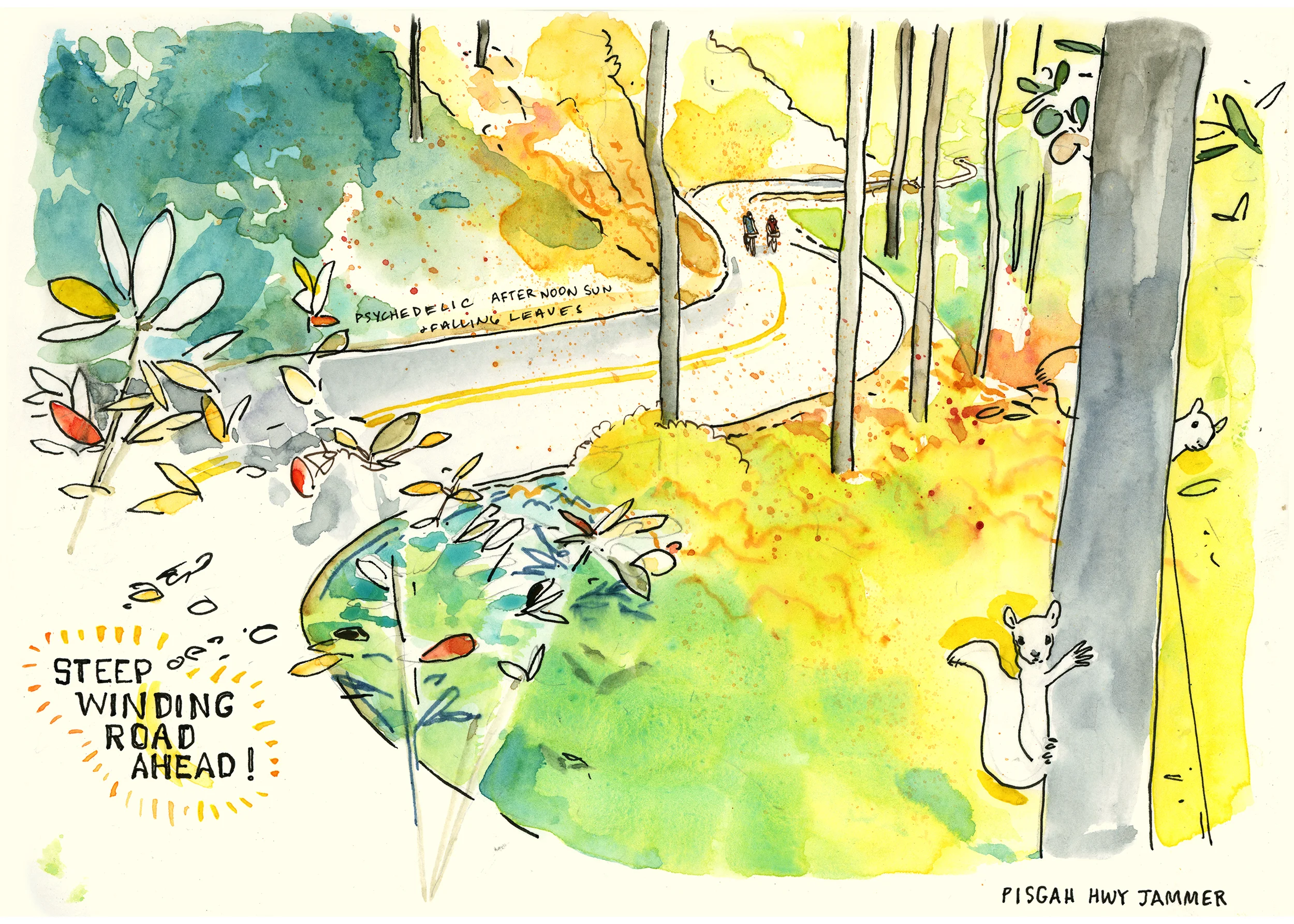 pisgah hwy.jpg