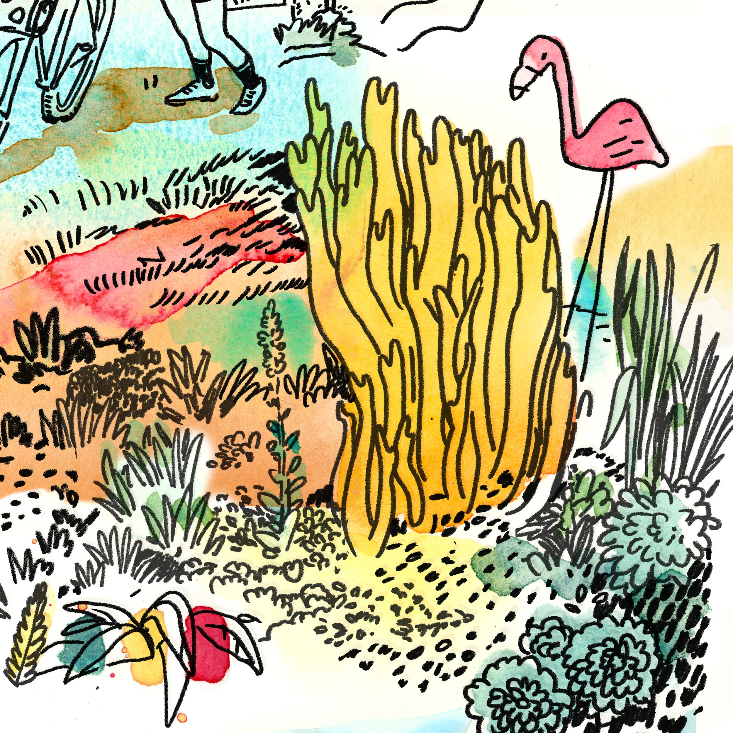 1_pink_flamingo.jpg