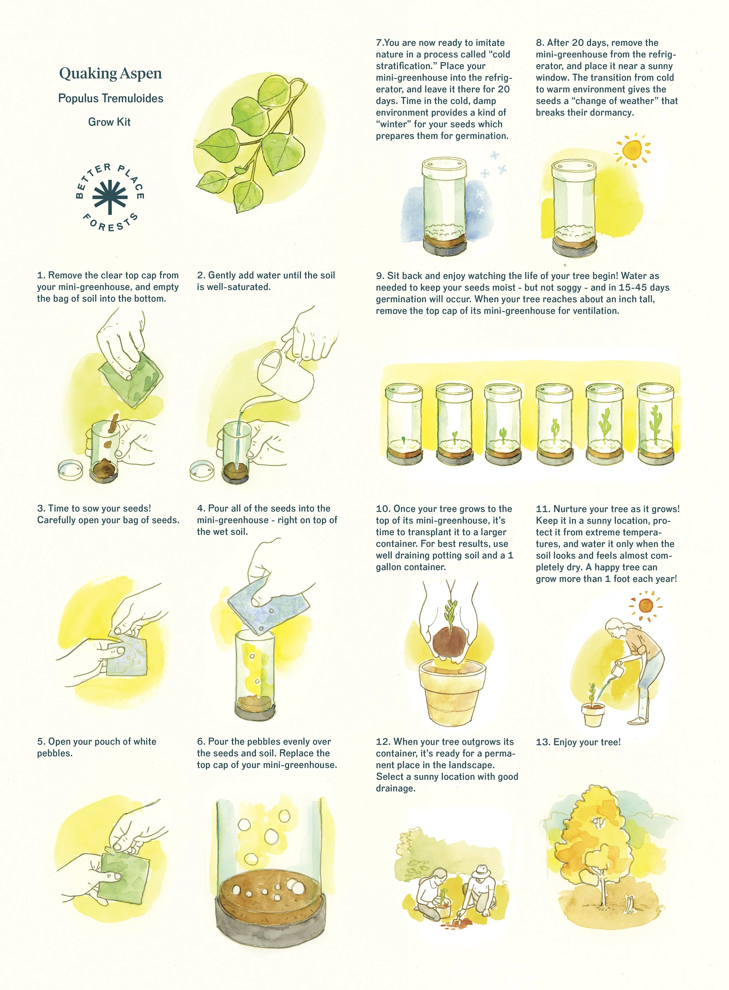 aspen instructions.jpg