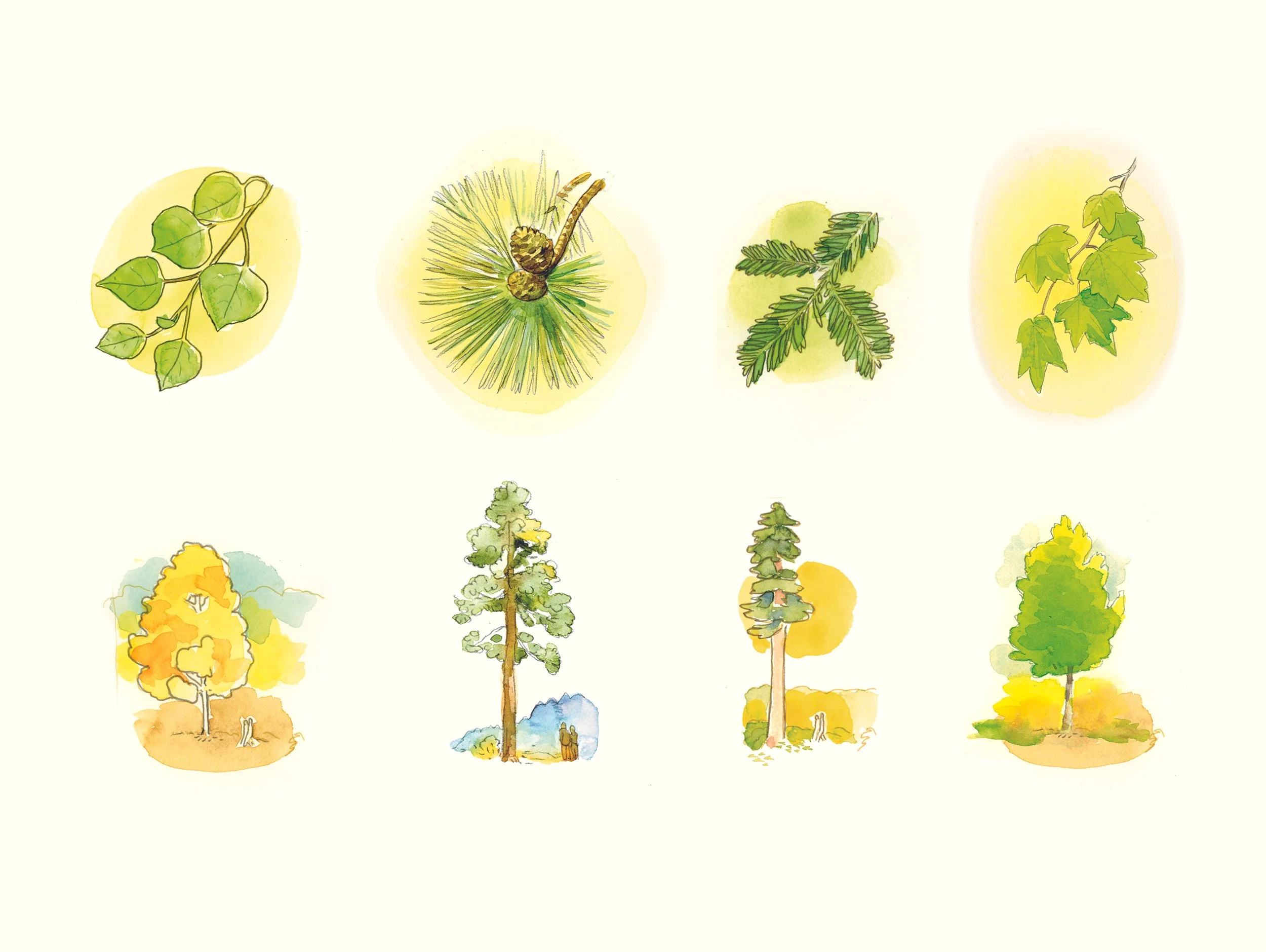 BPF tree icons.jpg