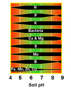 Relative availability of various nutrients at different pH levels.