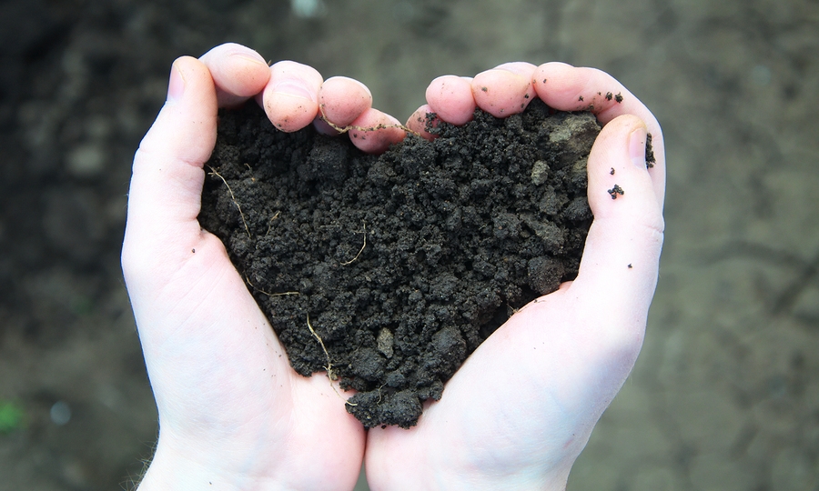 Healthy soil leads to healthy lawn