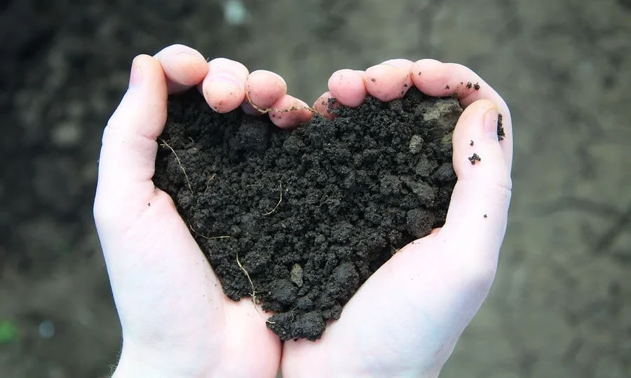 Our biologically derived nutrients are designed to improve the soil and encourage beneficial organisms that benefit your lawn Read more>>