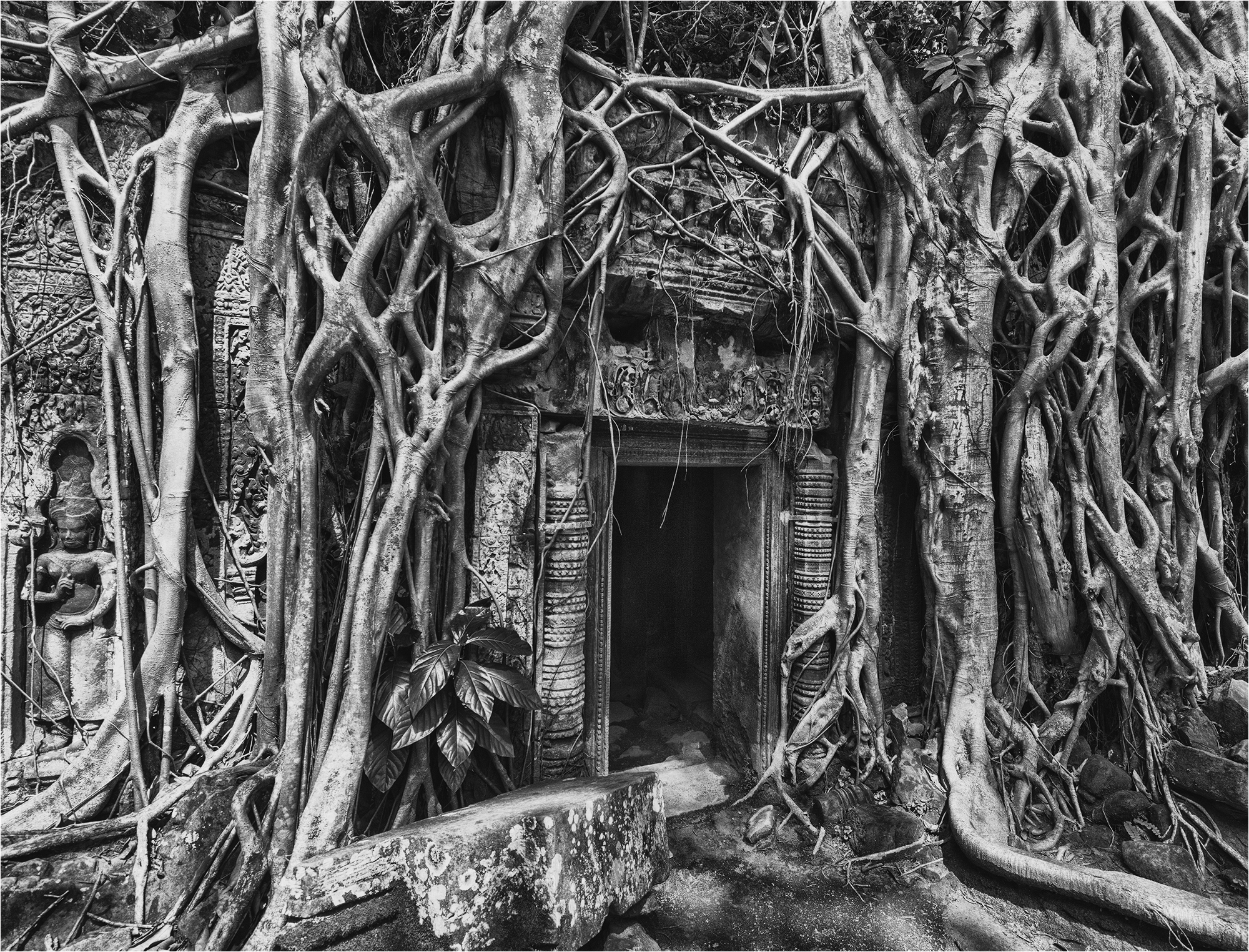 Ta Prohm Temple