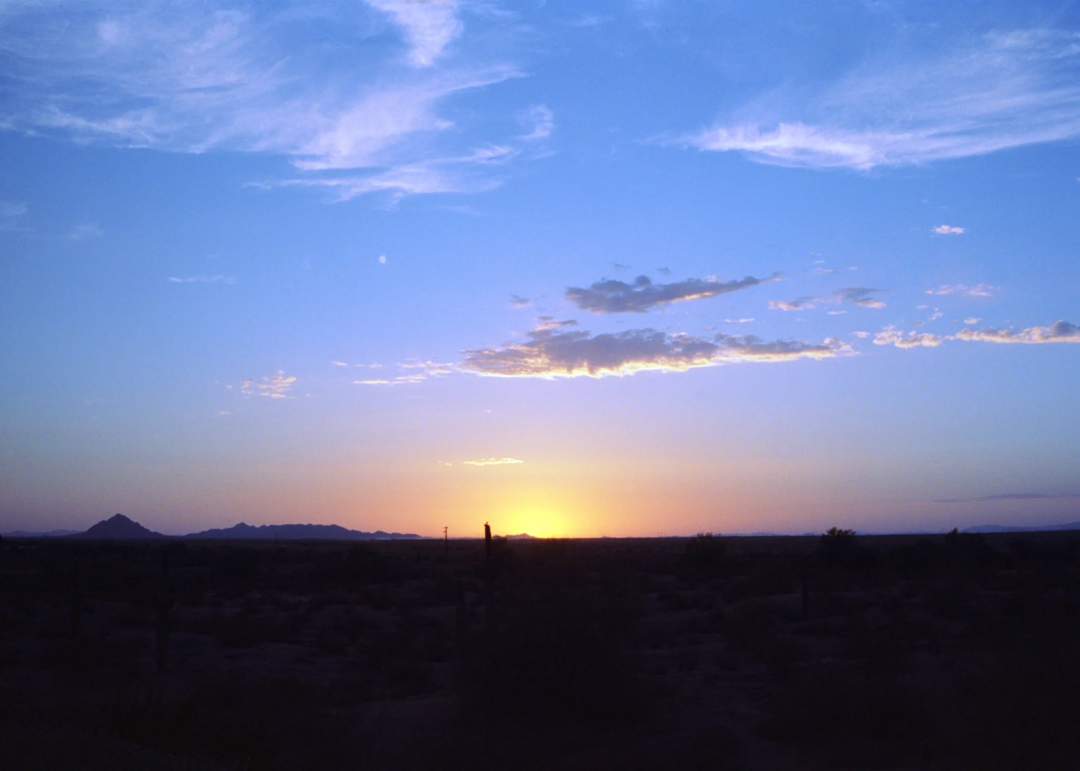 Desert Sunset
