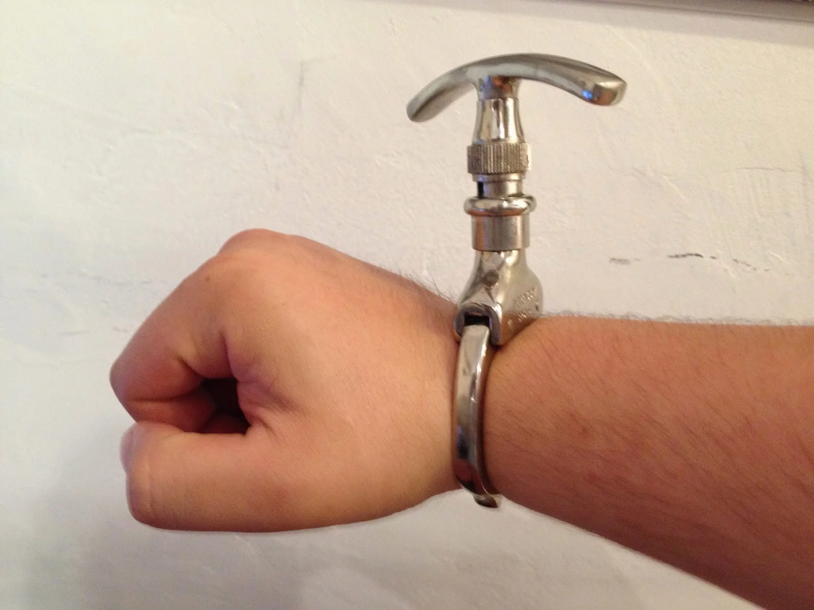 The Argus Iron Claw — Lynchburg Museum System