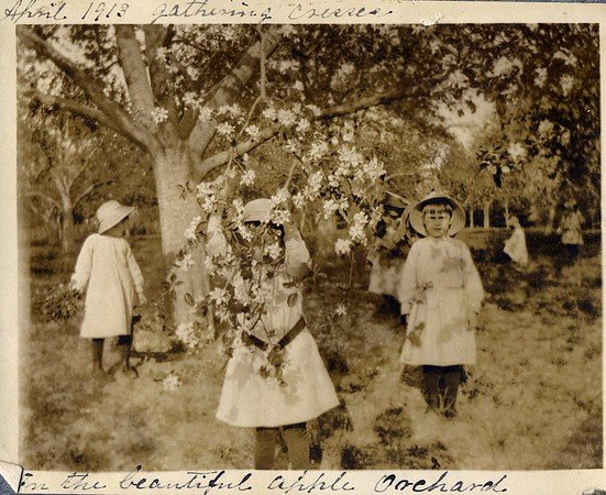  Apple Orchard at the Lynchburg Female Orphan Asylum, 87.63.38B 