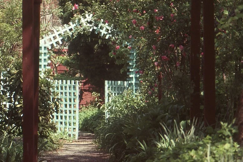 Anne Spencer Garden, 2022.12.jpg