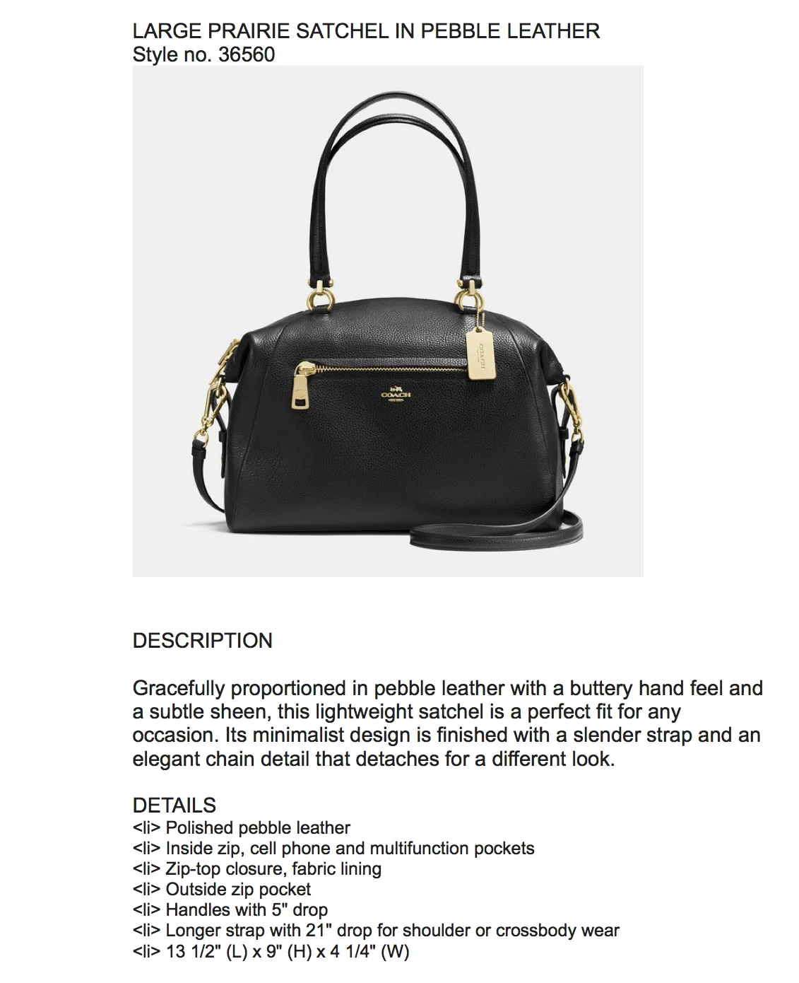 Coach copy1.jpg