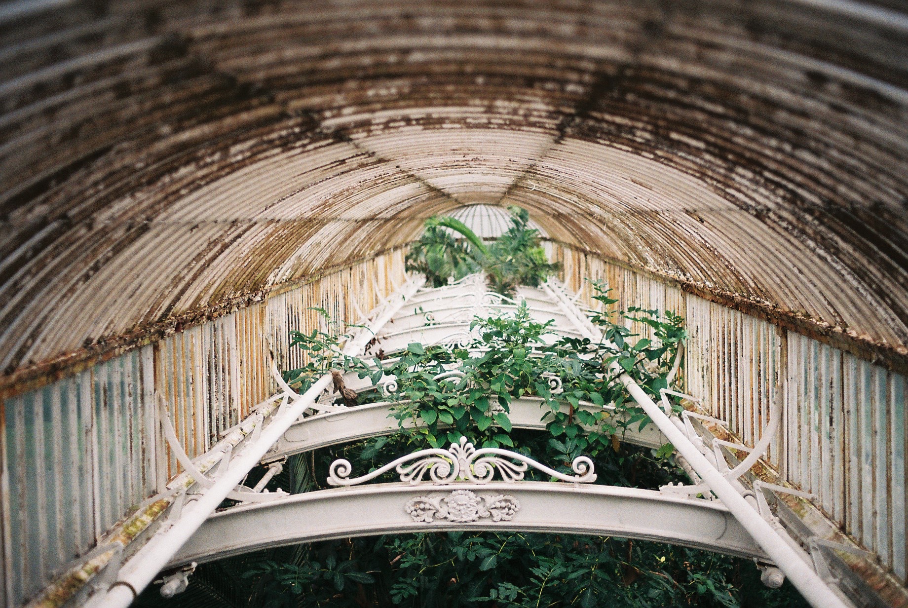 Kew Gardens, London