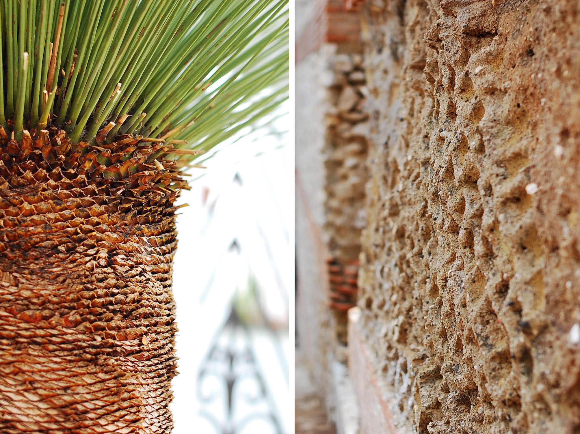 Trees and walls