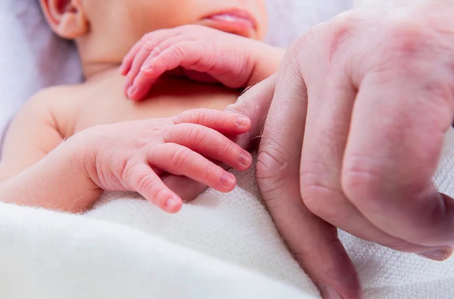 Newborn baby's hand holding the dad's finger during a relaxed studio photoshoot in Littlehampton.