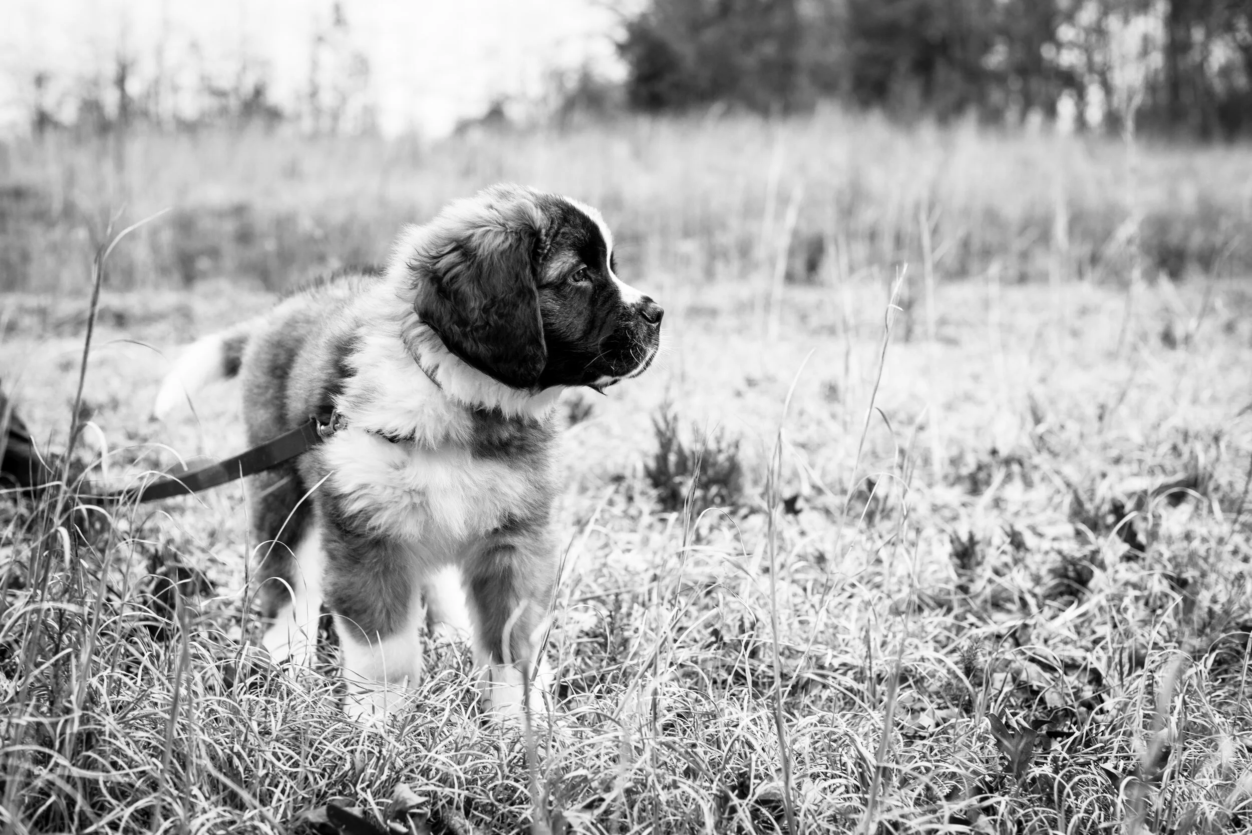 2020002_261_BW.jpg