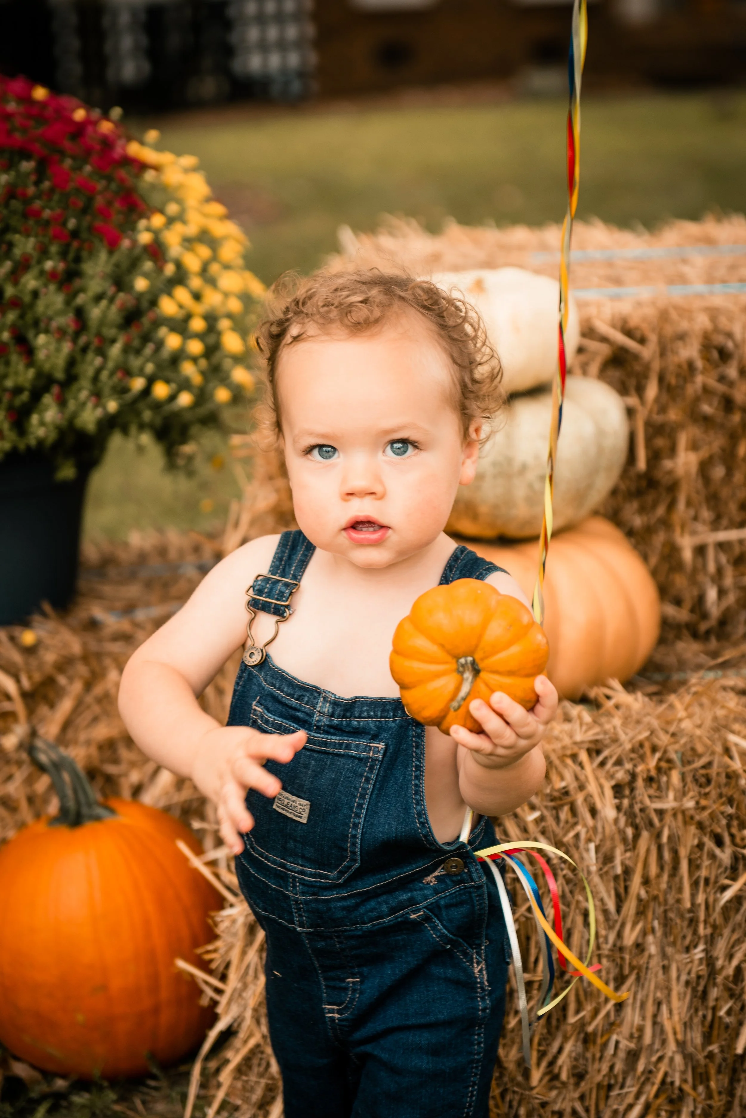2022038-6.jpg