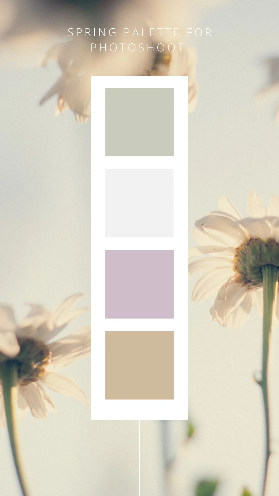 Neutral Tones Color Card Instagram Story-5.jpg