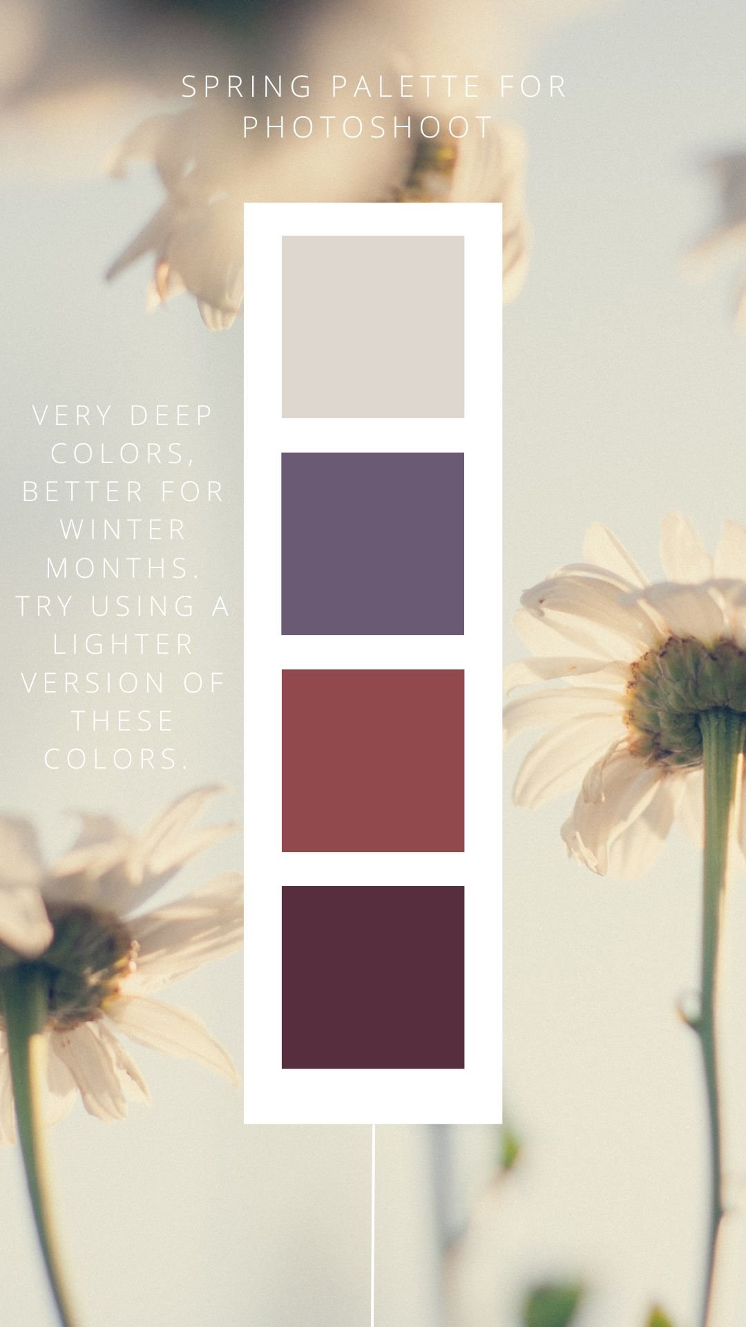 Neutral Tones Color Card Instagram Story-11.jpg