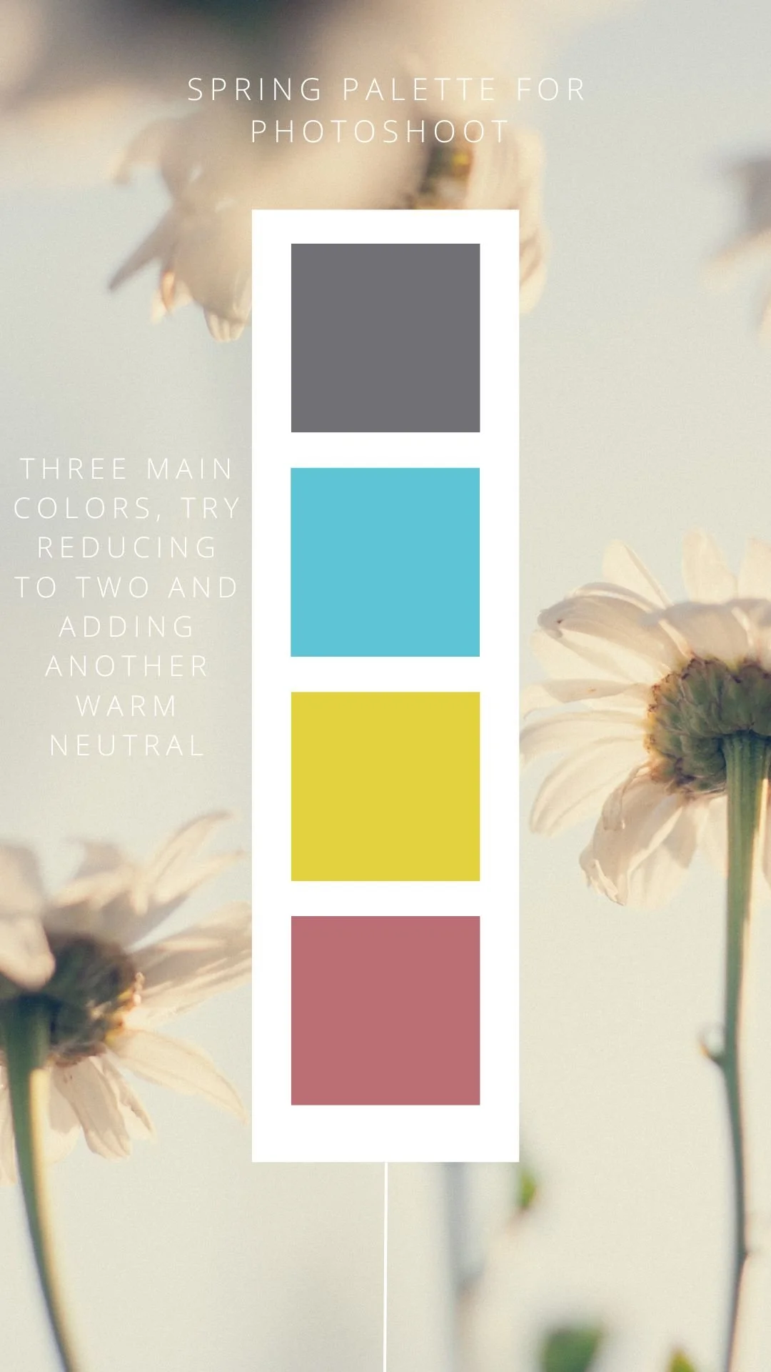 Neutral Tones Color Card Instagram Story-10.jpg