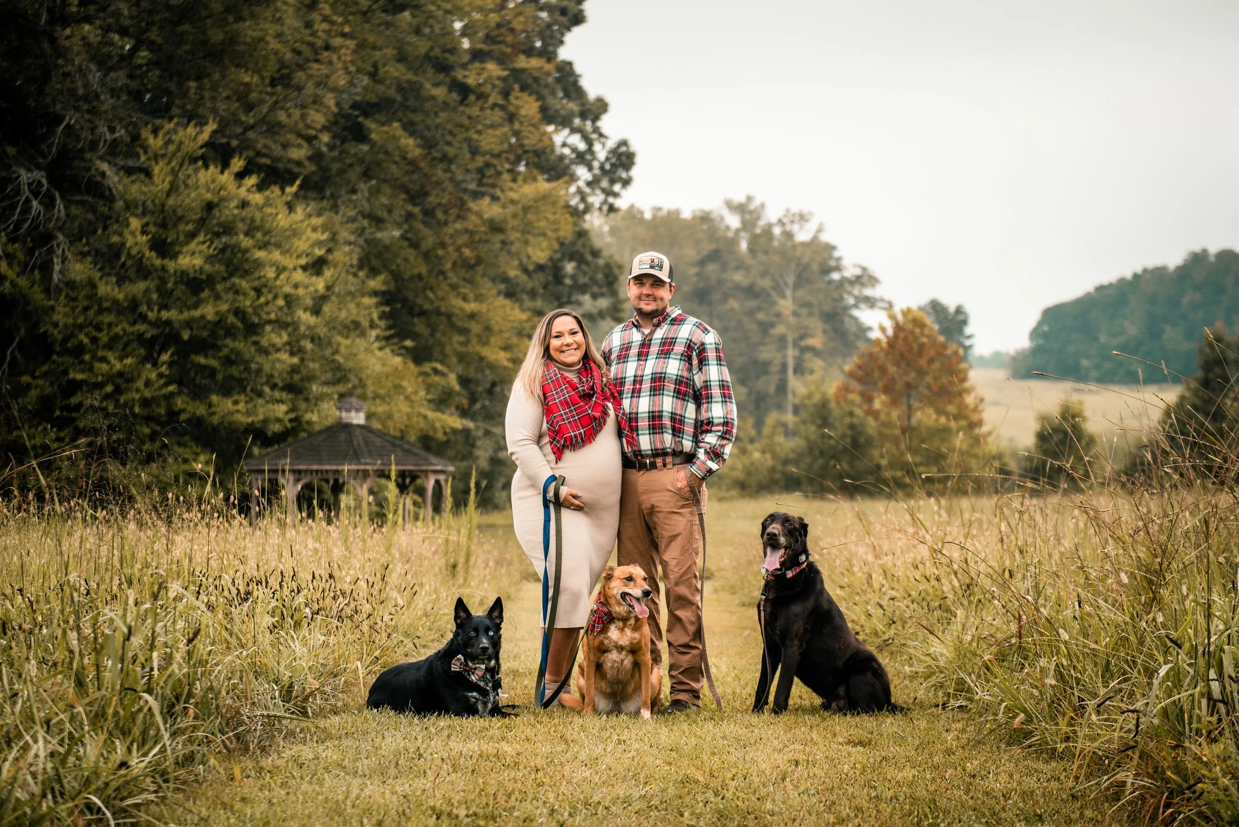 Unleashing the Best For Your Pet Photoshoot: Expert Tips and Tricks