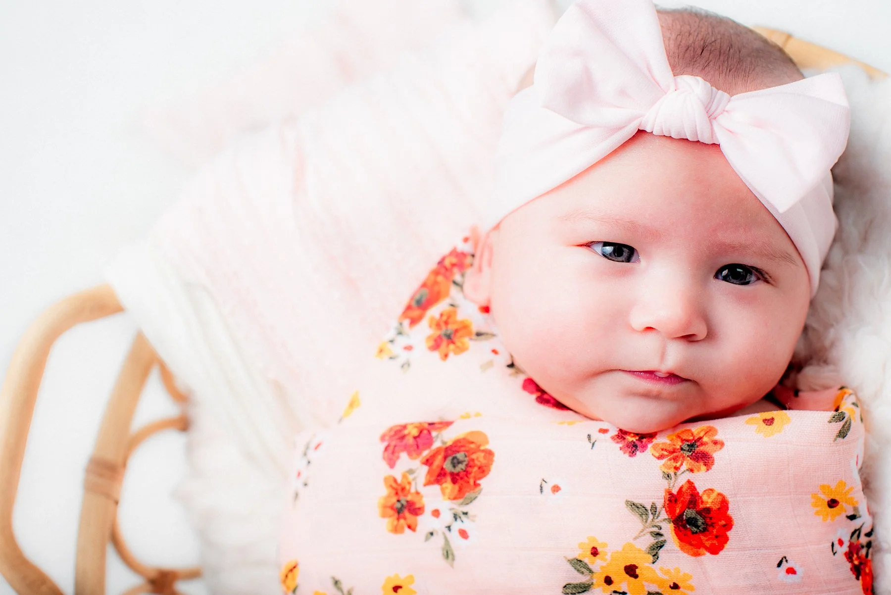 Baby girl with pink bow in basket during Gibsonville NC Studio Newborn Session