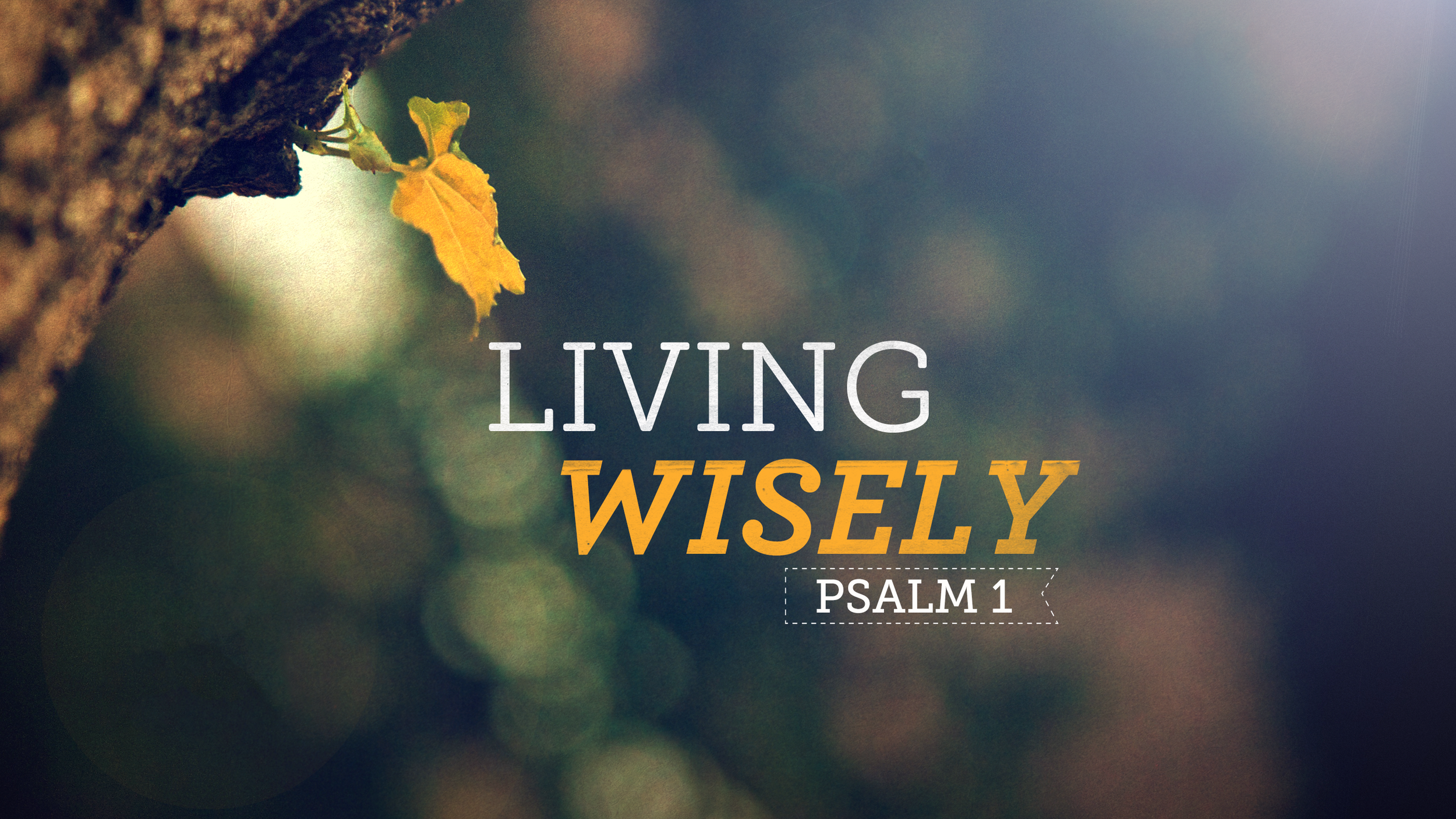 Rev. Brandon Owen | 9.7.25 | 9am & 11am