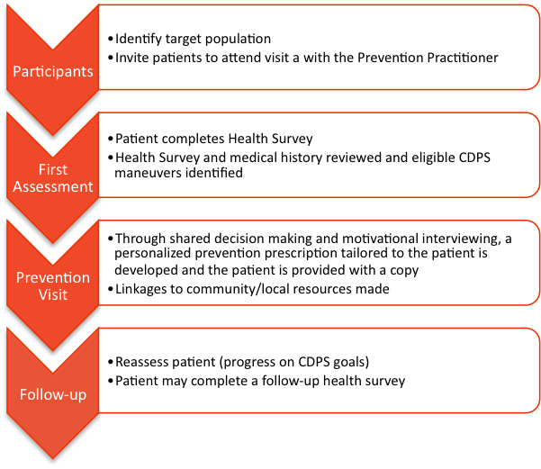 PP Role diagram.png