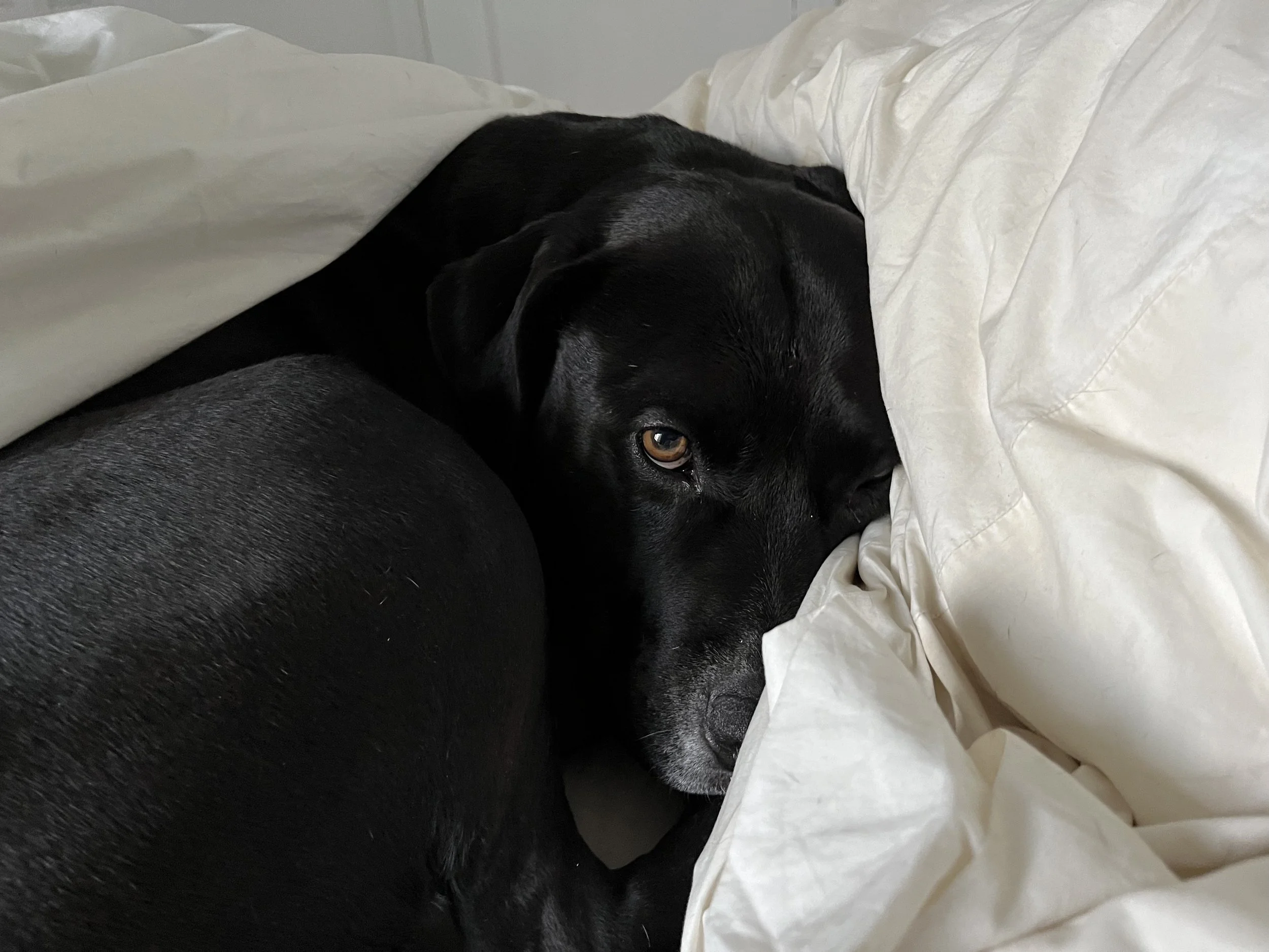 MARCH 6, 2024 // ASSUMPTIONS AND THEIR OPPOSITES WRITING EXERCISE