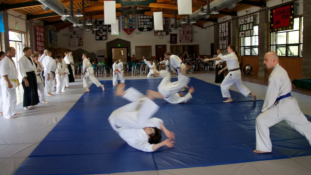 Aikido Group Indoors.jpg