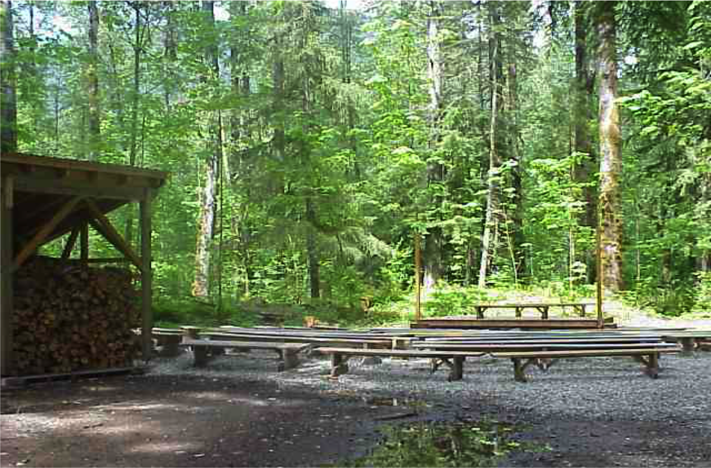 Bonfire Area