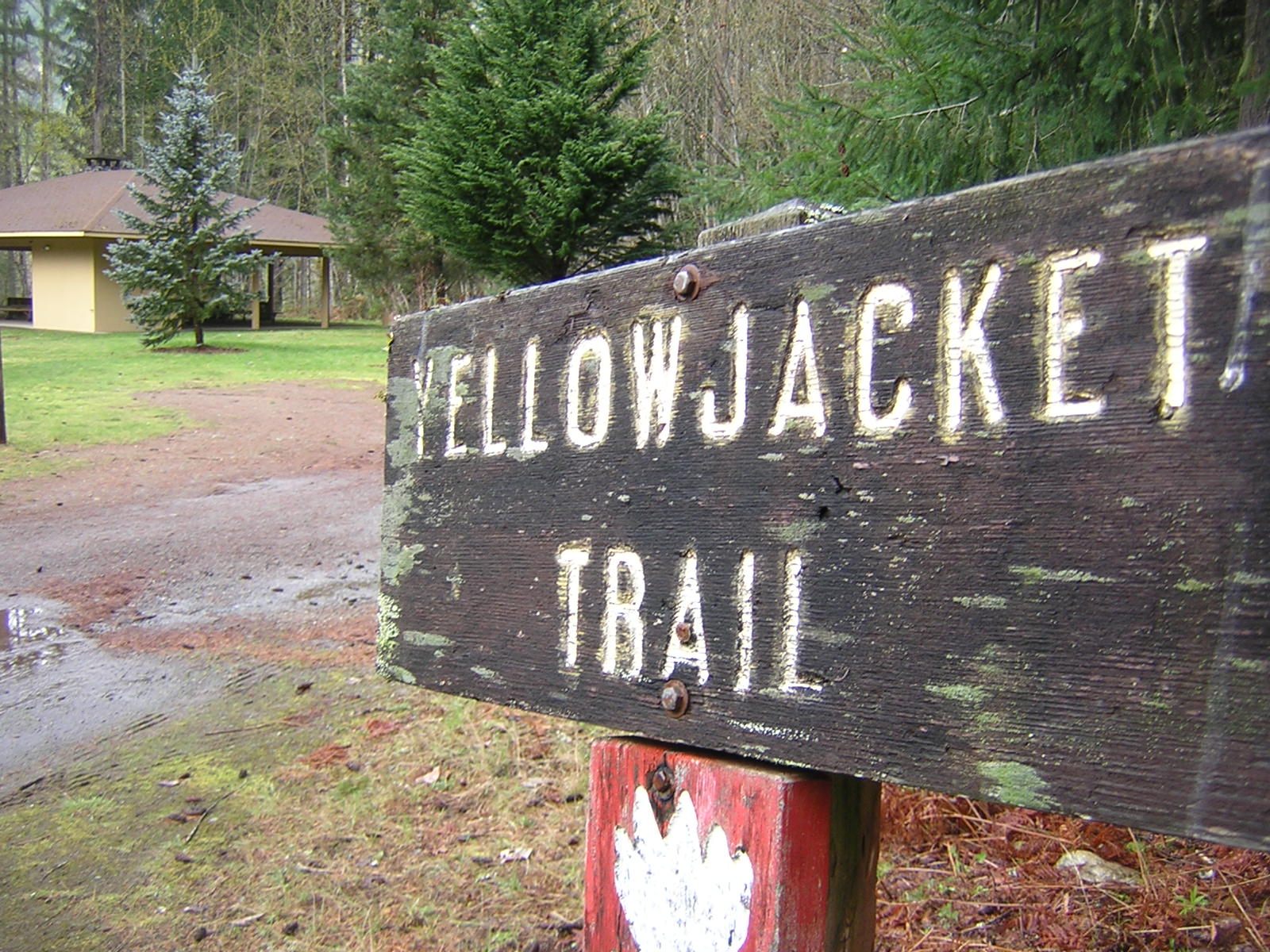 Yellowjacket Trail