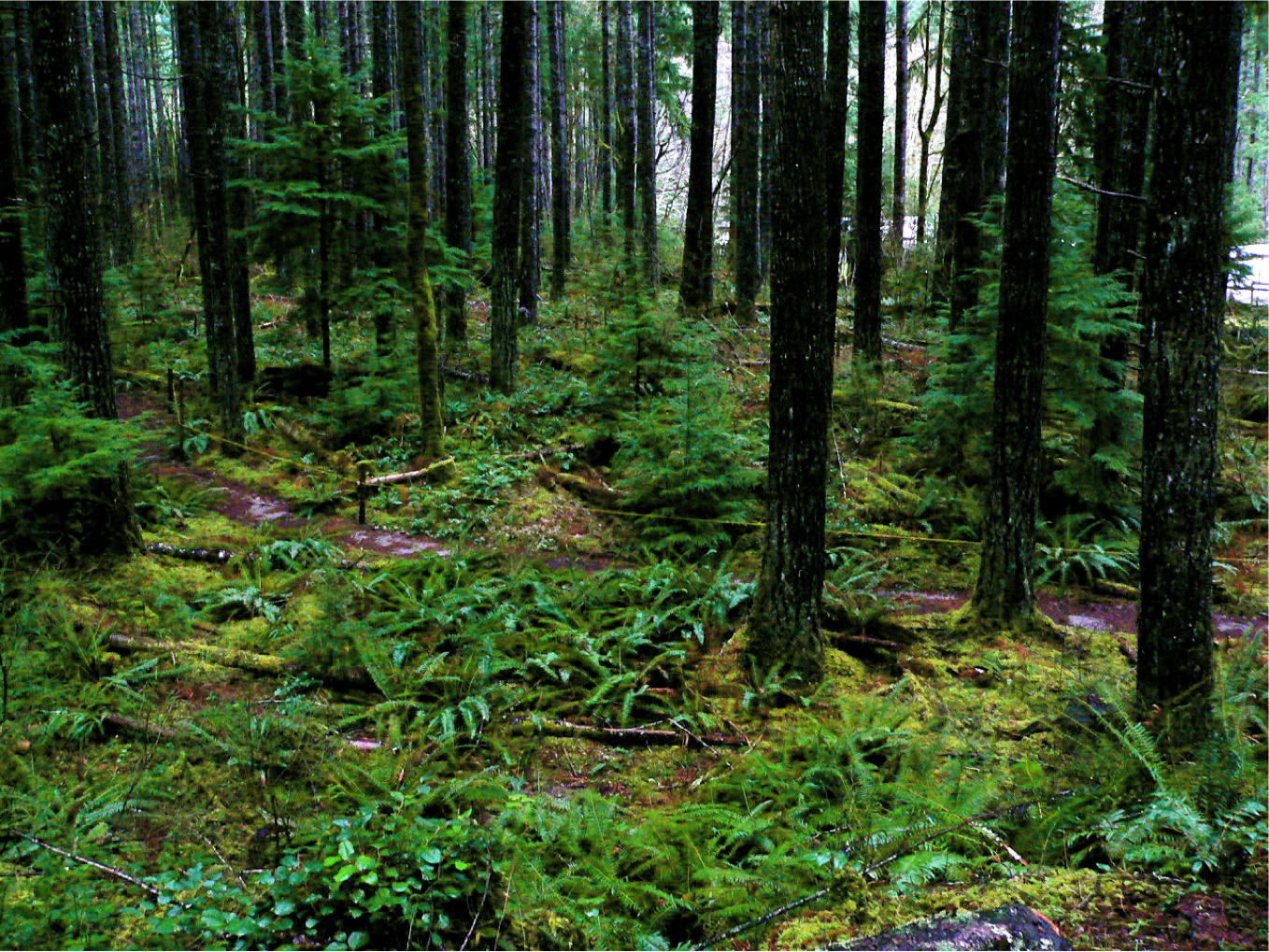 Hiking Trail