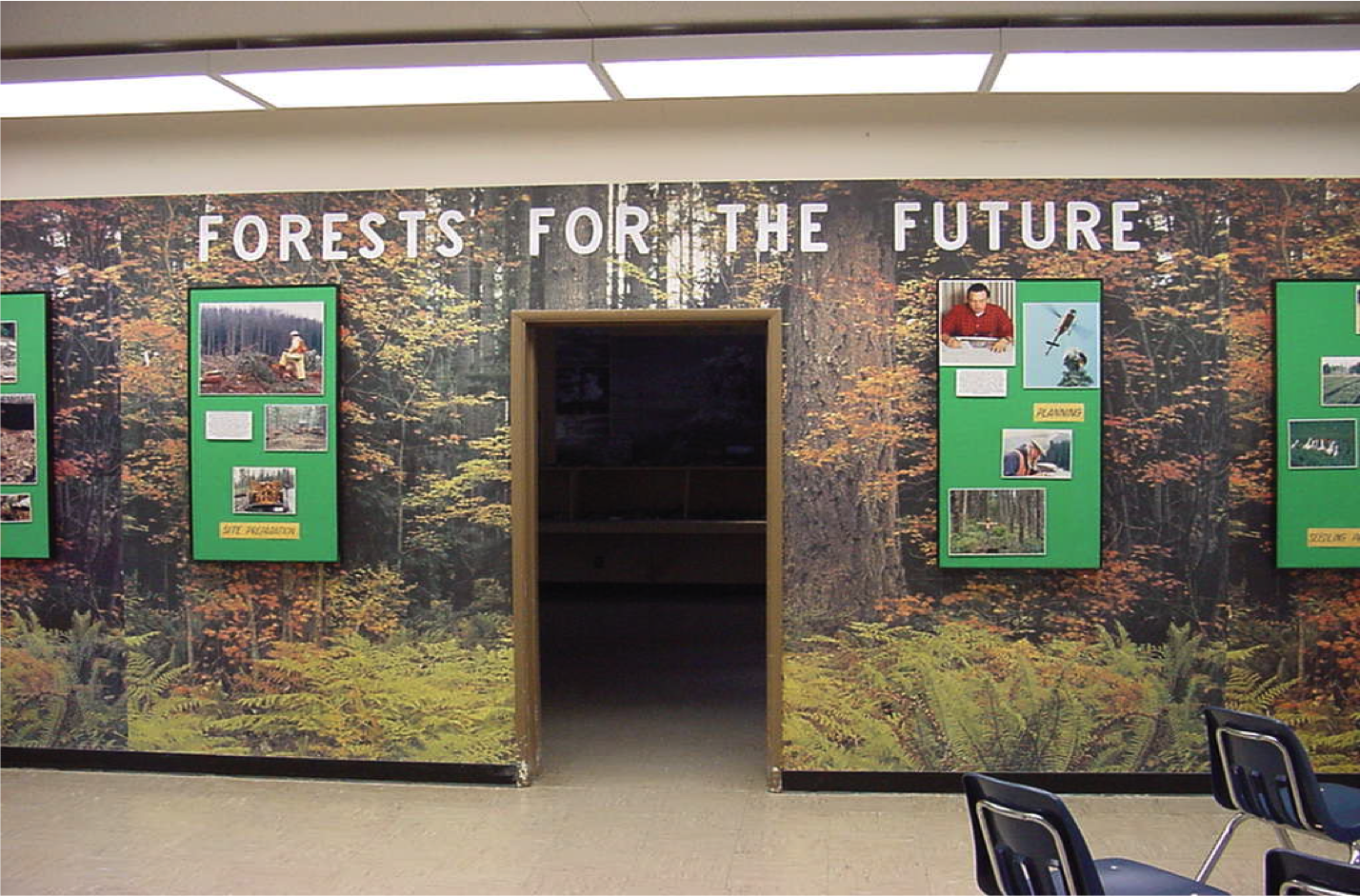 Forestry Room
