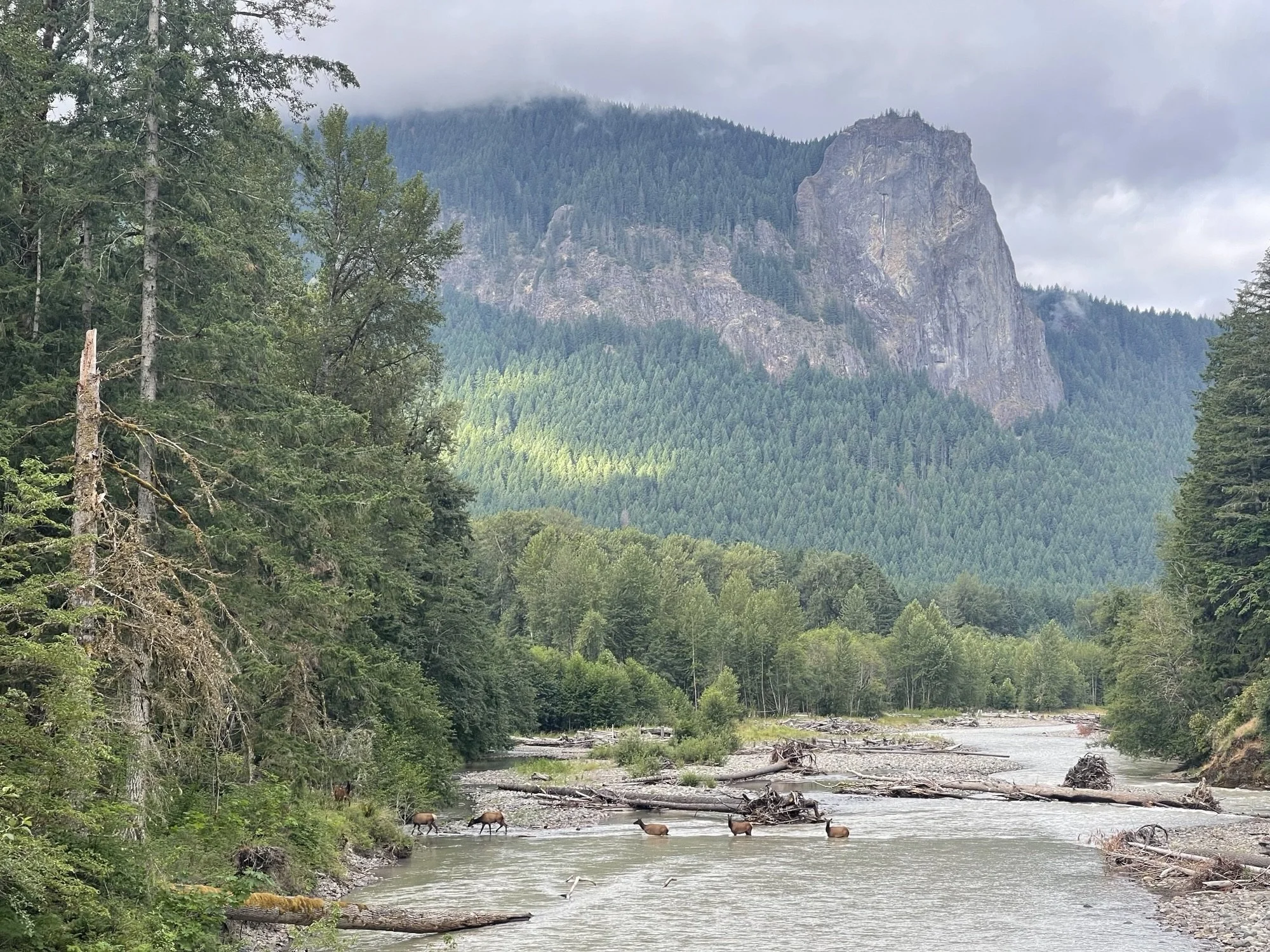 Intro Tower Rock.jpeg