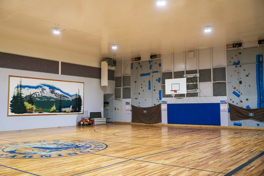 Gymnasium Rock Wall.jpg