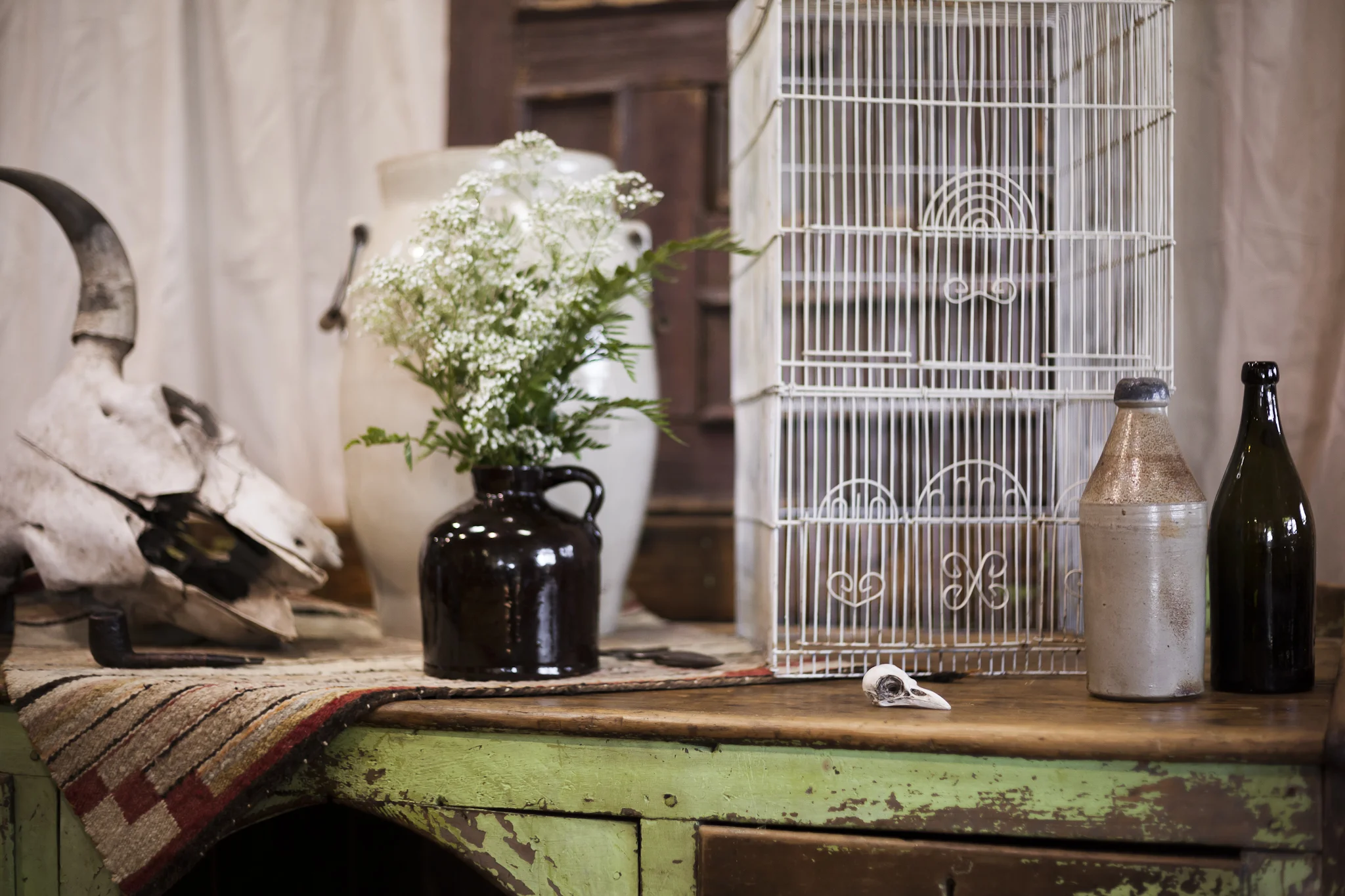Distressed Table with Antique Milk Bottles, Birdcage, Table Cover and Skull