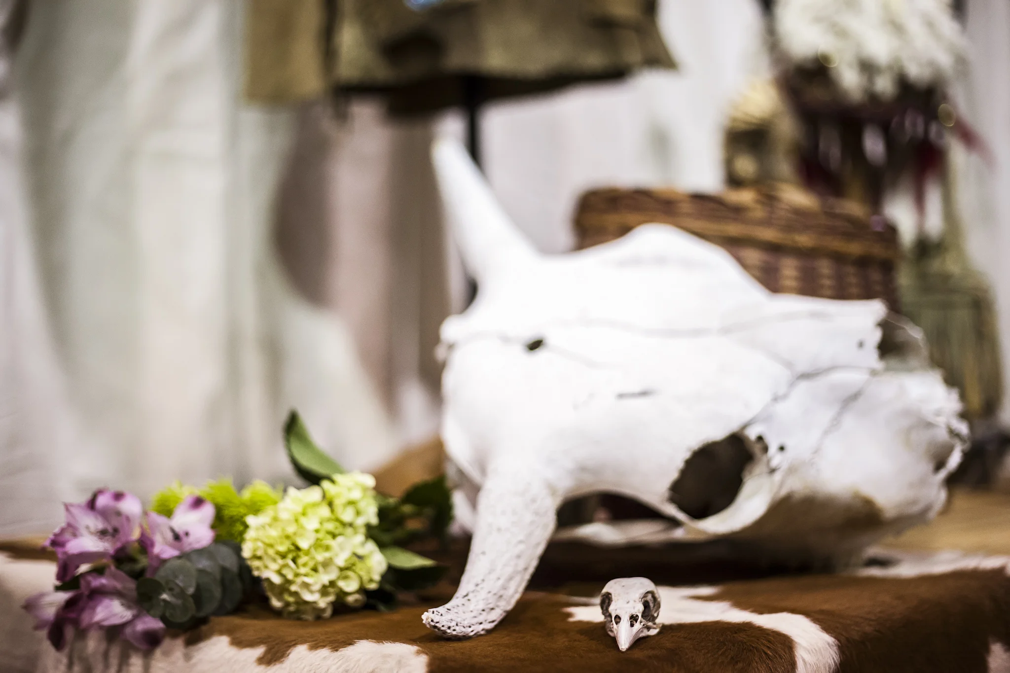 Cow Hide Table Cover, Buffalo Skull and Antique Aboriginal Artifacts