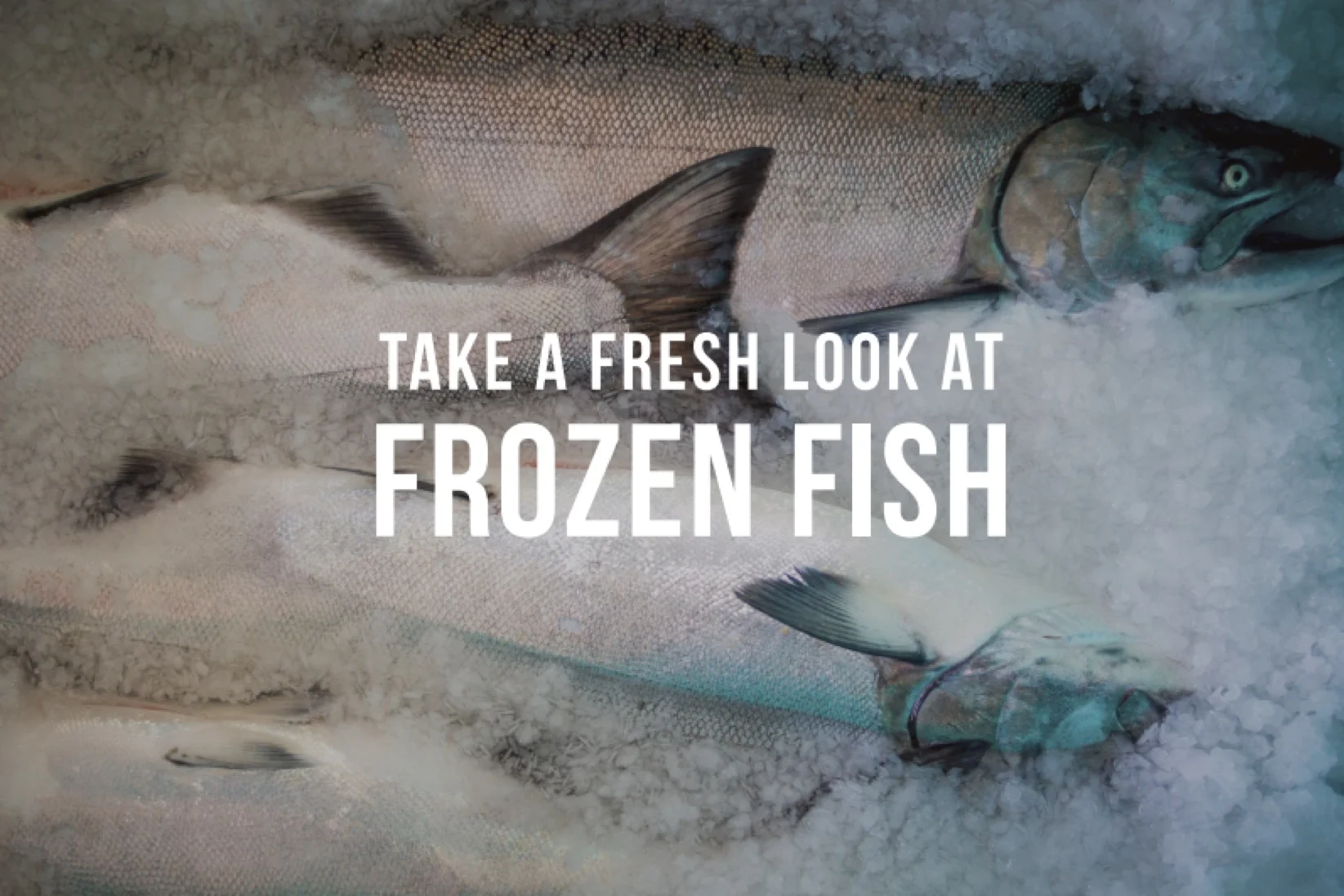Image Courtesy of EcoTrust