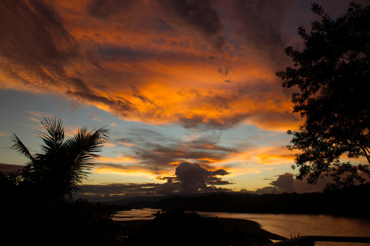 sunset in the Amazon