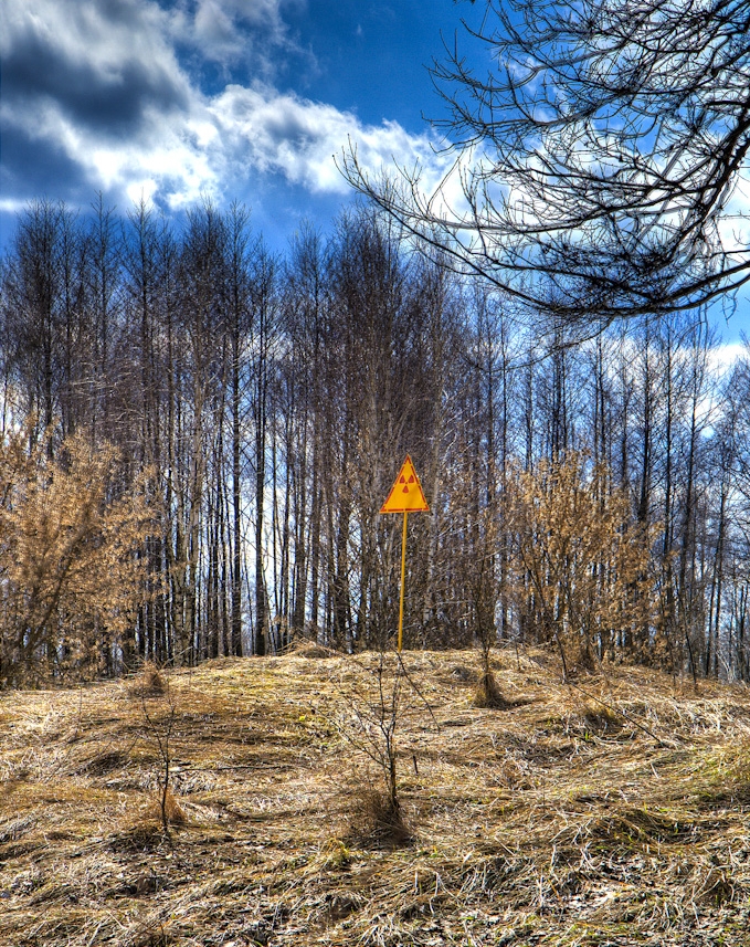 By Timm Suess - Flickr: Red Forest Hill, CC BY-SA 2.0, https://commons.wikimedia.org/w/index.php?curid=14886940