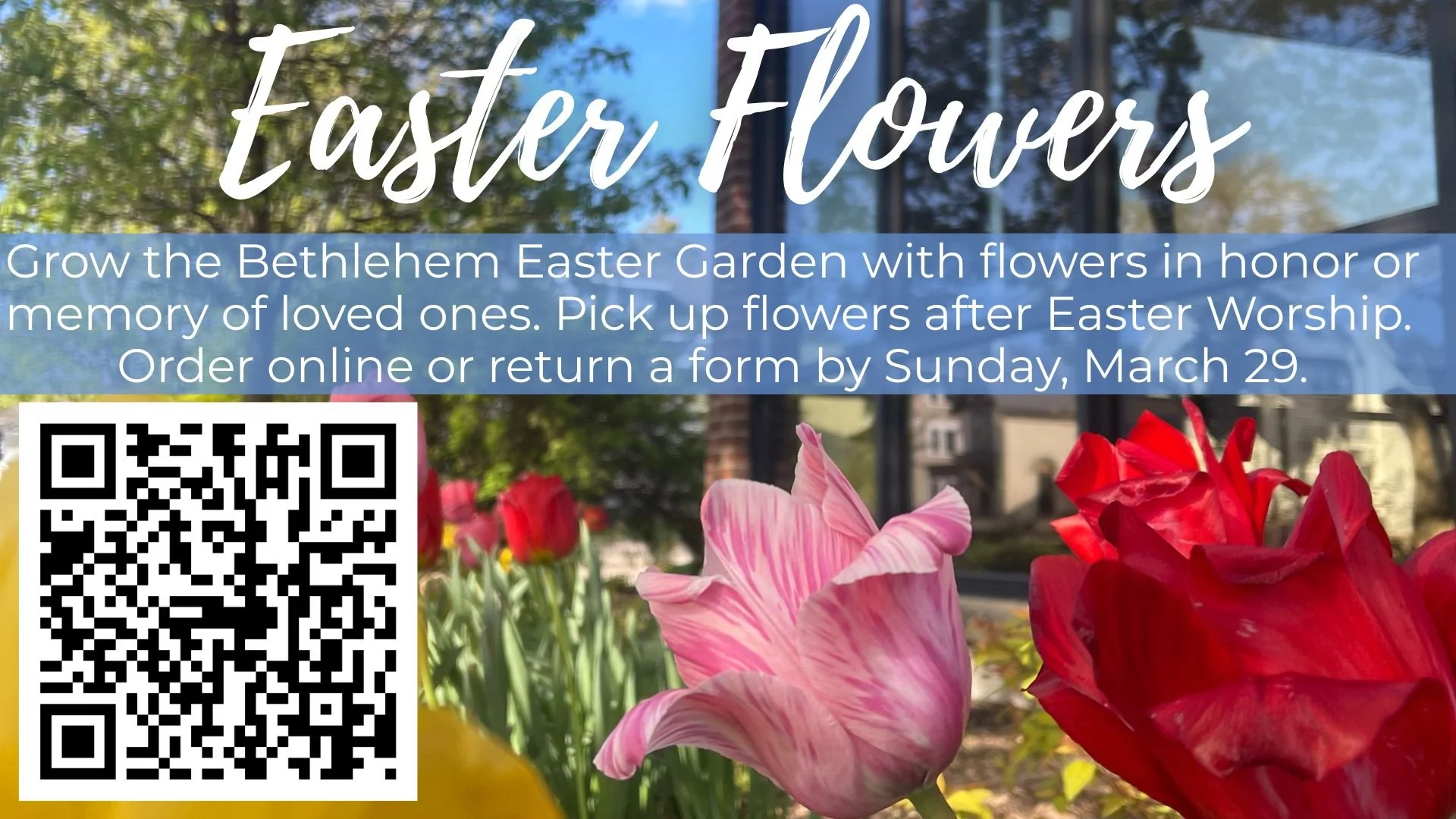 Slides 2026  (34).jpg