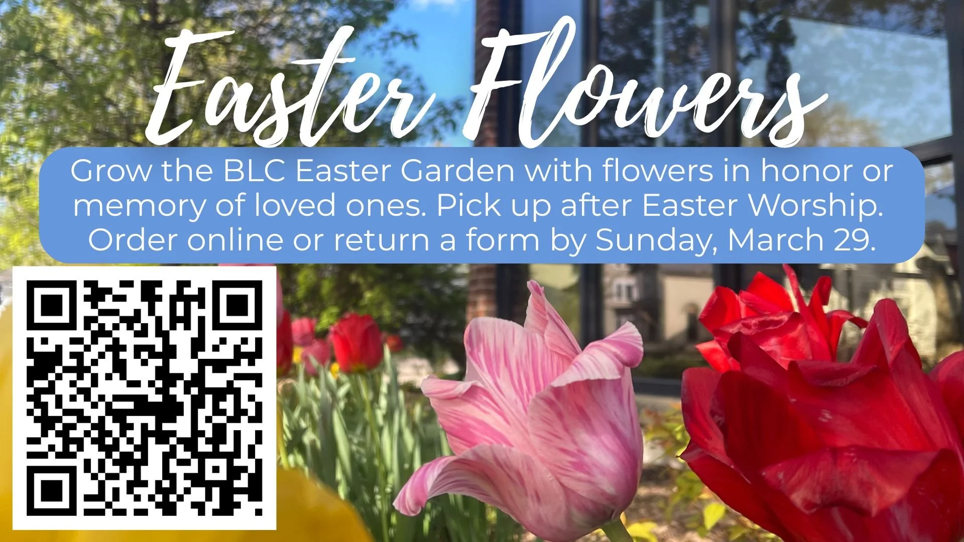 Slides 2026  (35).jpg