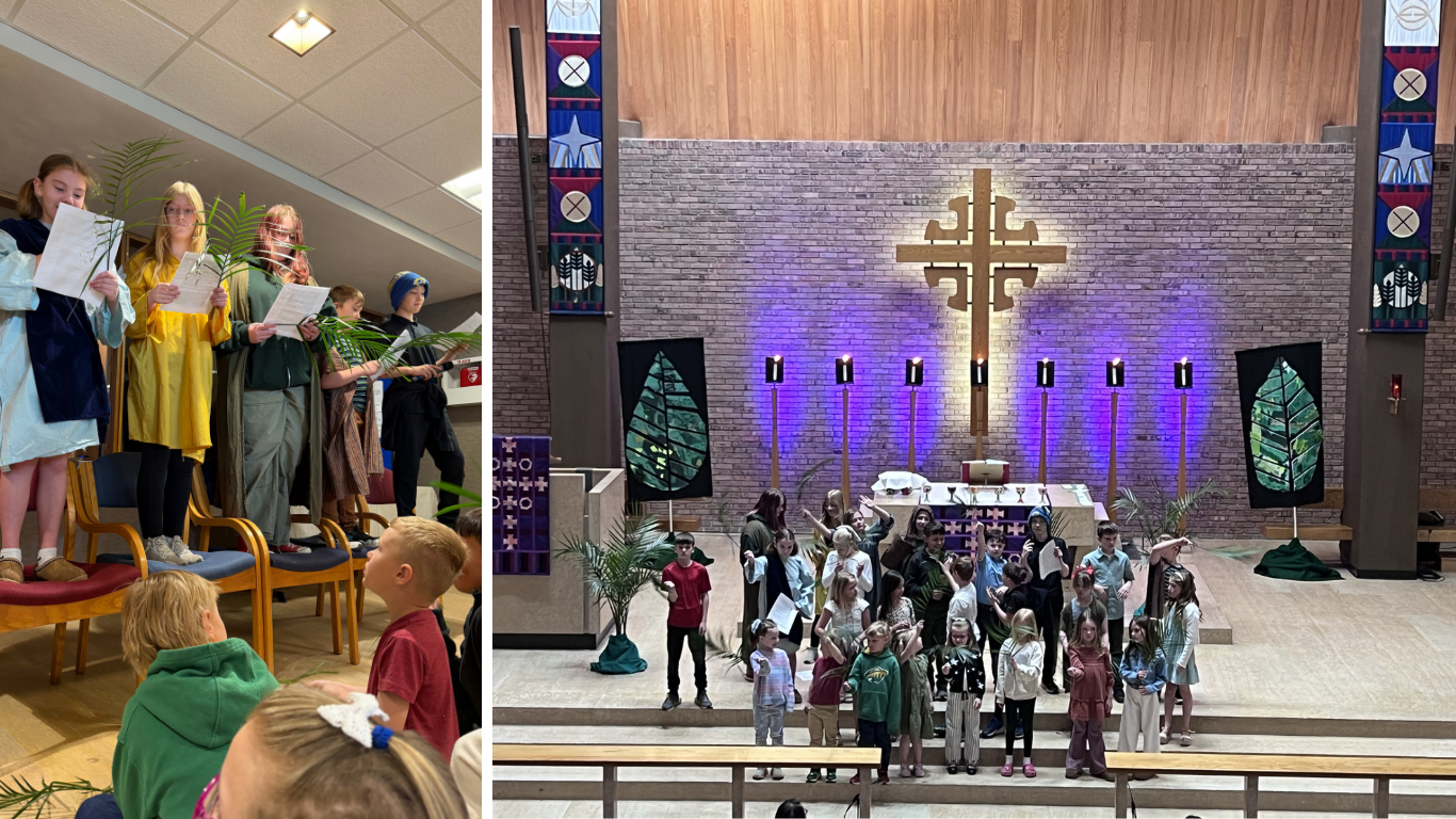 Web Homepage Images (41).png