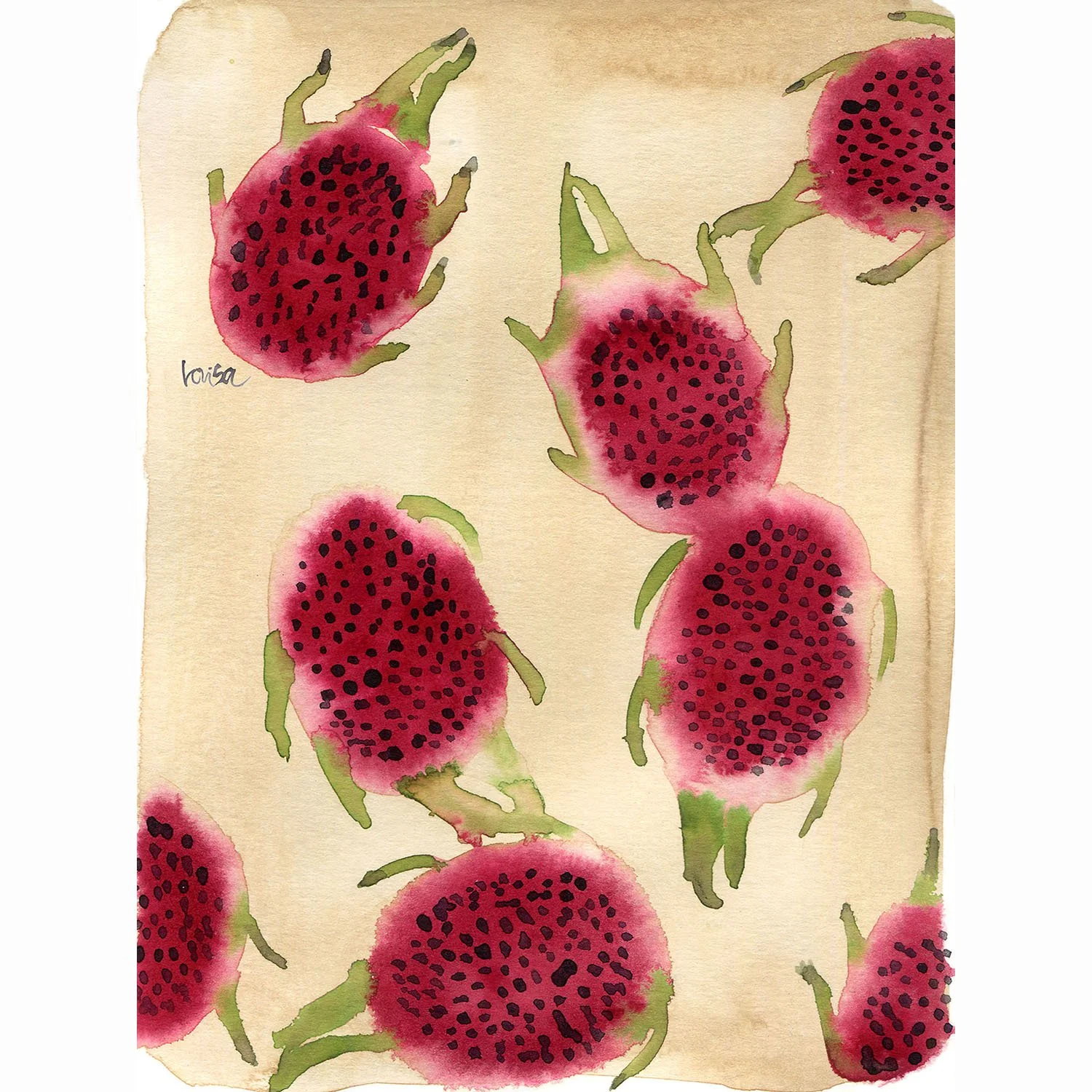 Dragon Fruit