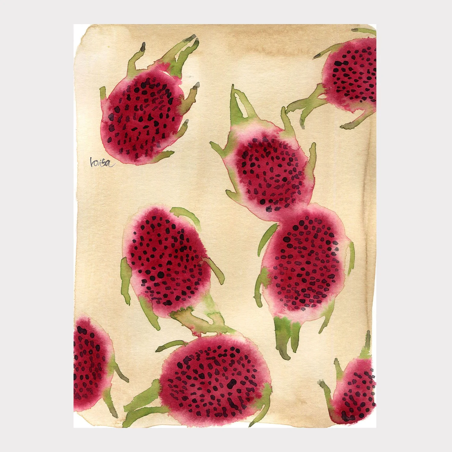 Dragonfruit _4.jpg