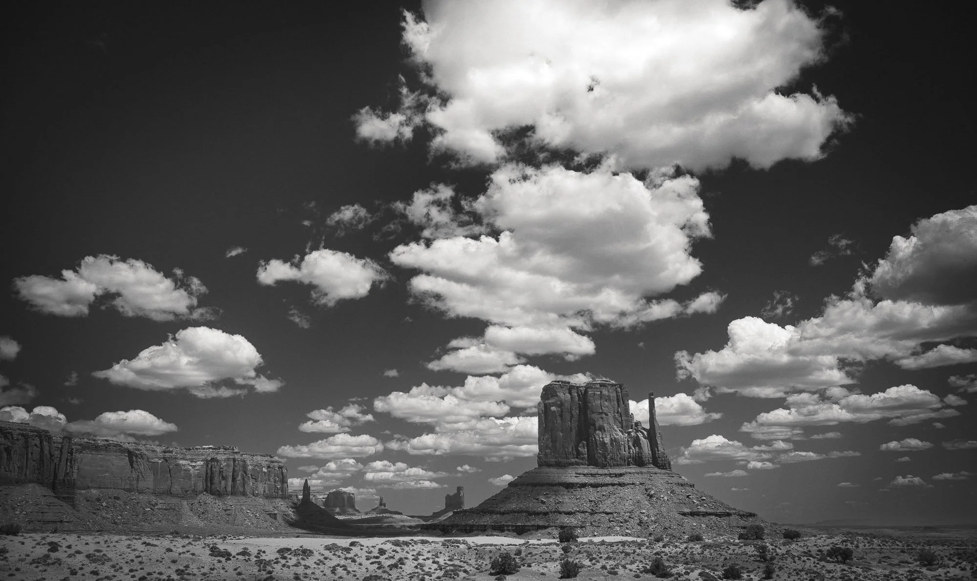 _DSC0896_1.jpg