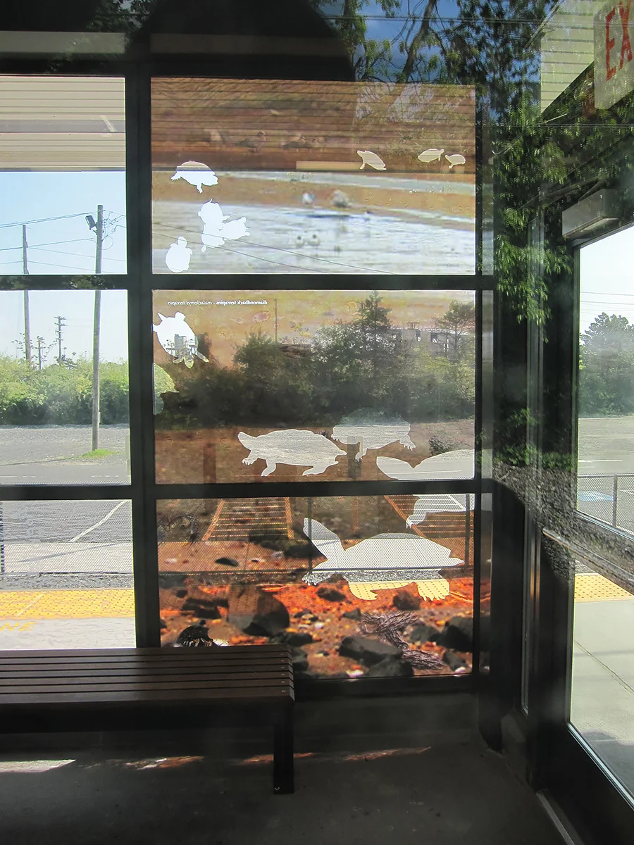 New-Jersey-Transit-2.jpg