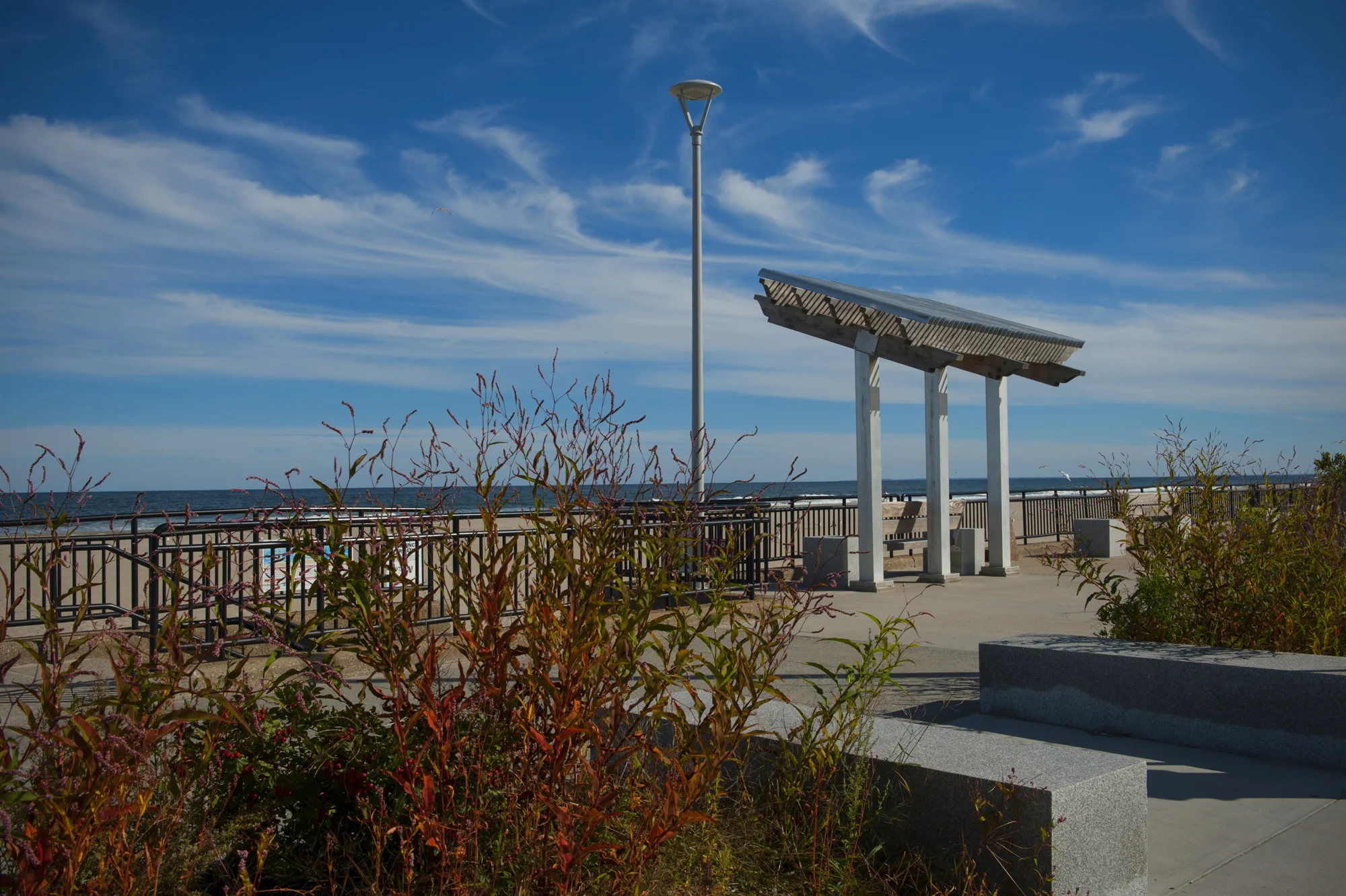 SDA_W_SM_Beach_17.jpg