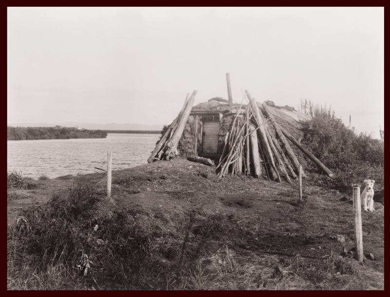Sod homes were dug into the earth and framed with wood or whalebone on the coast. This archival photograph shows a dwelling on the banks of the Selawik River in Northwest Arctic Borough, Alaska, c. 1929. Edward R. Curtis, courtesy of Library of Congress. Reproduced from Environmental Health Perspectives .
