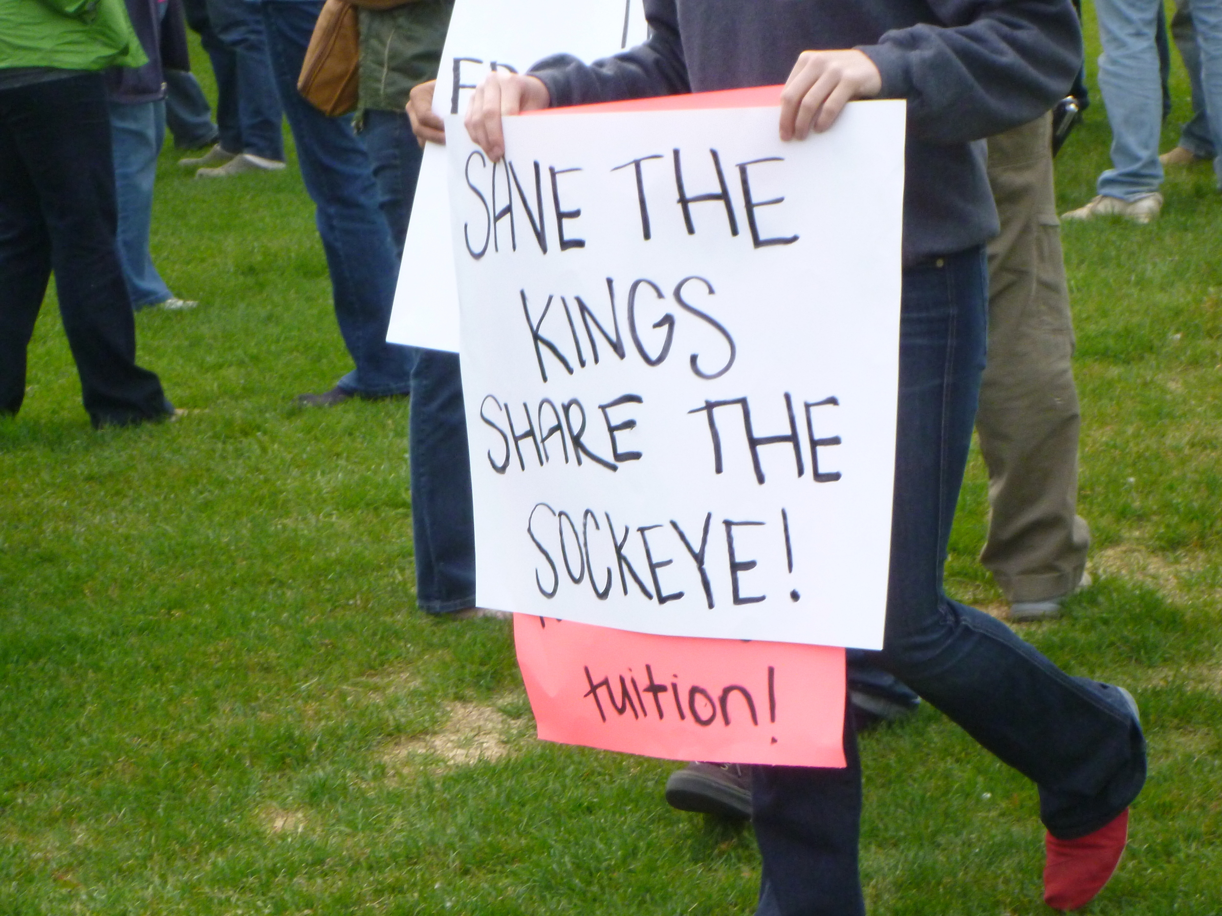 Protests were common during the 2011 closure of the east-side set-net fishery in Cook Inlet. Note here that despite the contentious nature of the issue, there was still an evident sentiment of sharing.