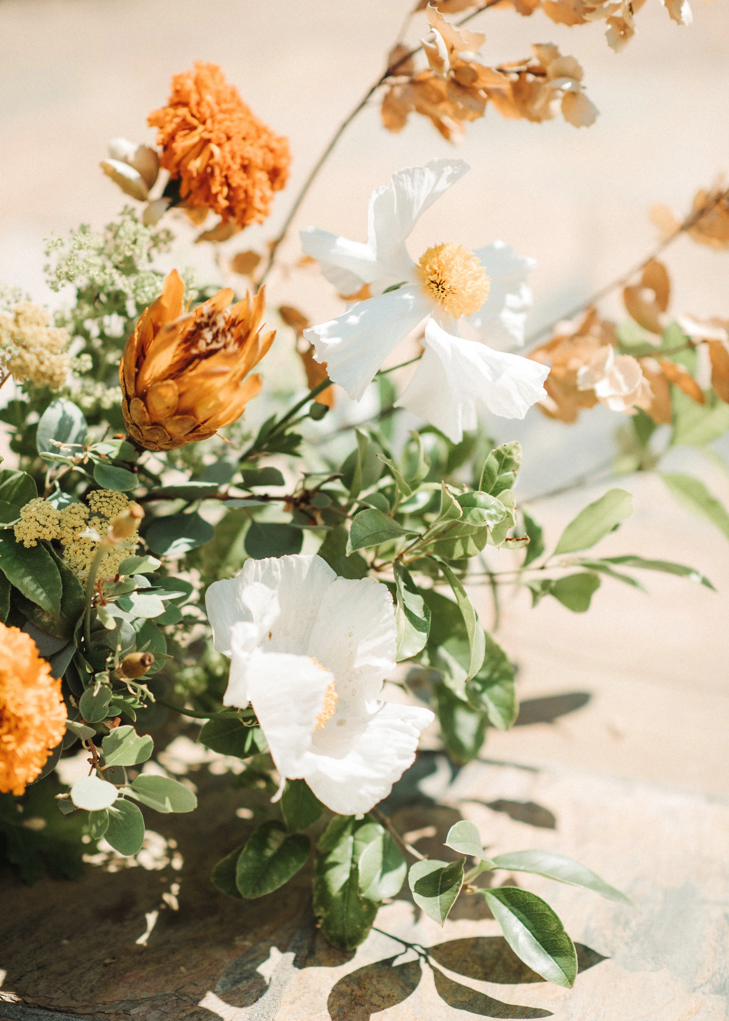 JessRankinPhotographer-Sarah+Sam-221.jpg