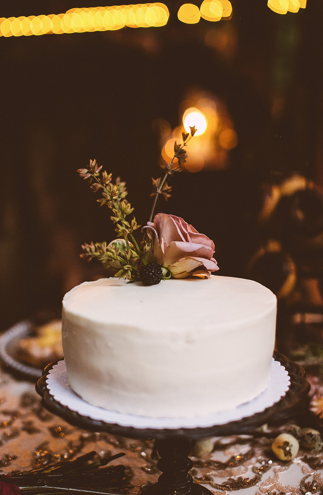 Tana_Eric_Reception (328 of 382).jpg
